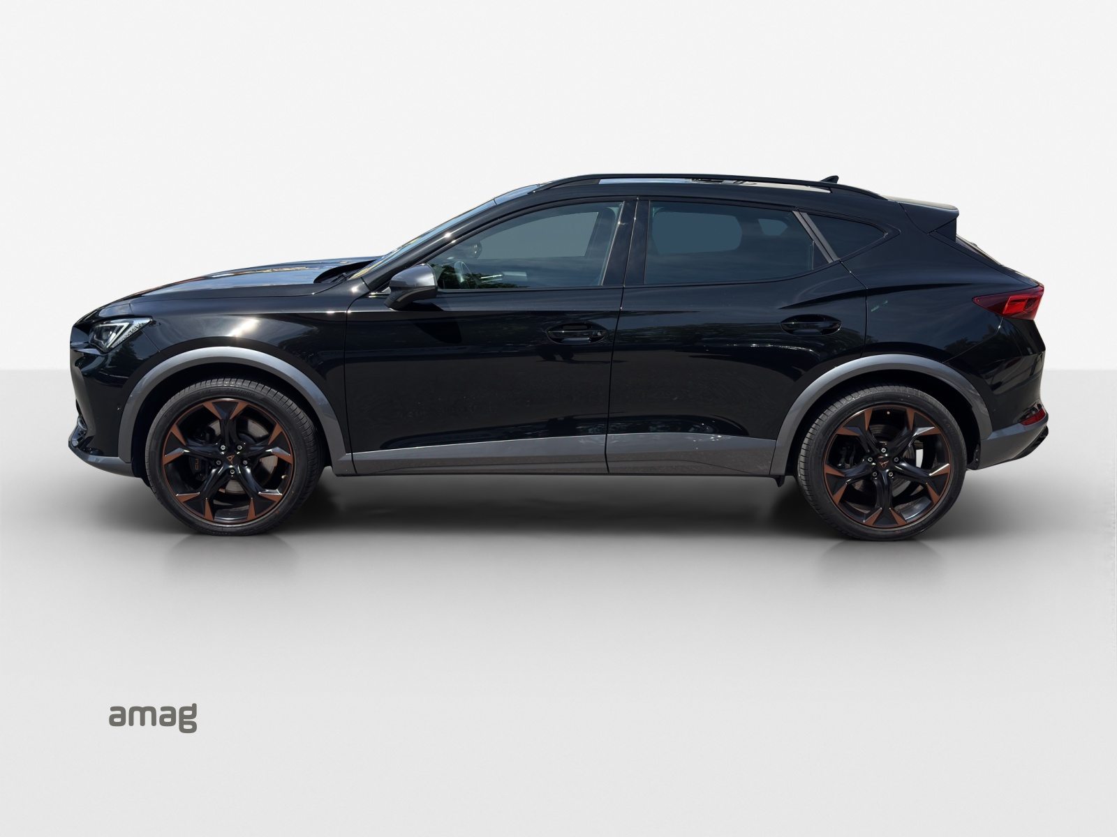 CUPRA FORMENTOR 4DRIVE, Benzina, Occasioni / Usate, Automatico - 2