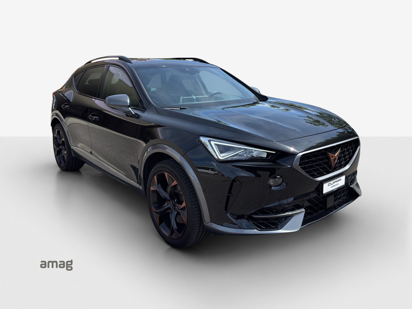 CUPRA FORMENTOR 4DRIVE, Benzina, Occasioni / Usate, Automatico - 6
