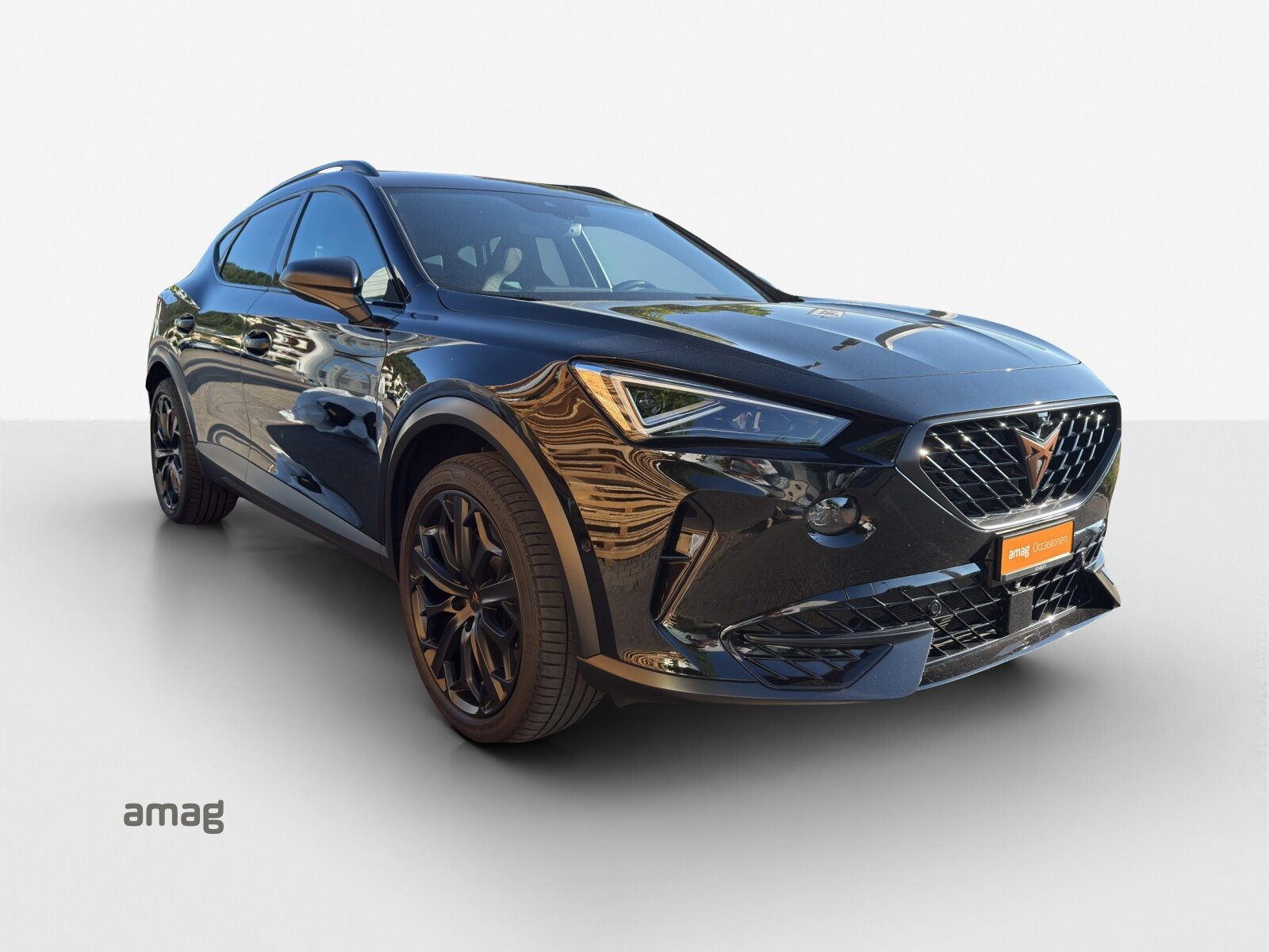 CUPRA FORMENTOR VZ 1.4e-HYBRID TRIBE EDITION (netto), Voll-Hybrid Benzin/Elektro, Occasion / Gebraucht, Automatik - 6
