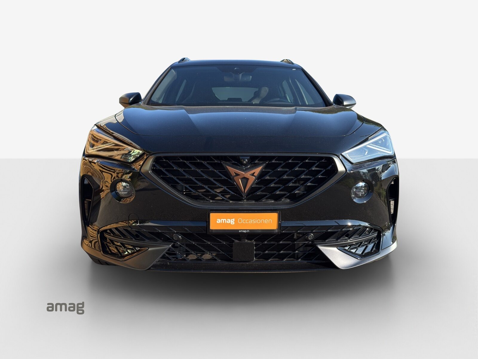 CUPRA FORMENTOR VZ 1.4e-HYBRID TRIBE EDITION (netto), Voll-Hybrid Benzin/Elektro, Occasion / Gebraucht, Automatik - 7