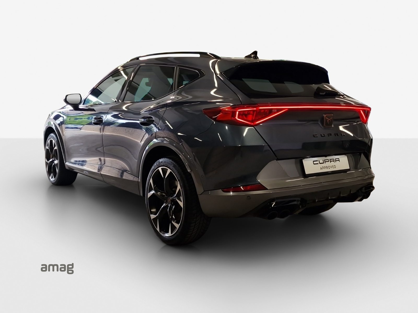 CUPRA FORMENTOR 4DRIVE, Benzina, Occasioni / Usate, Automatico - 3