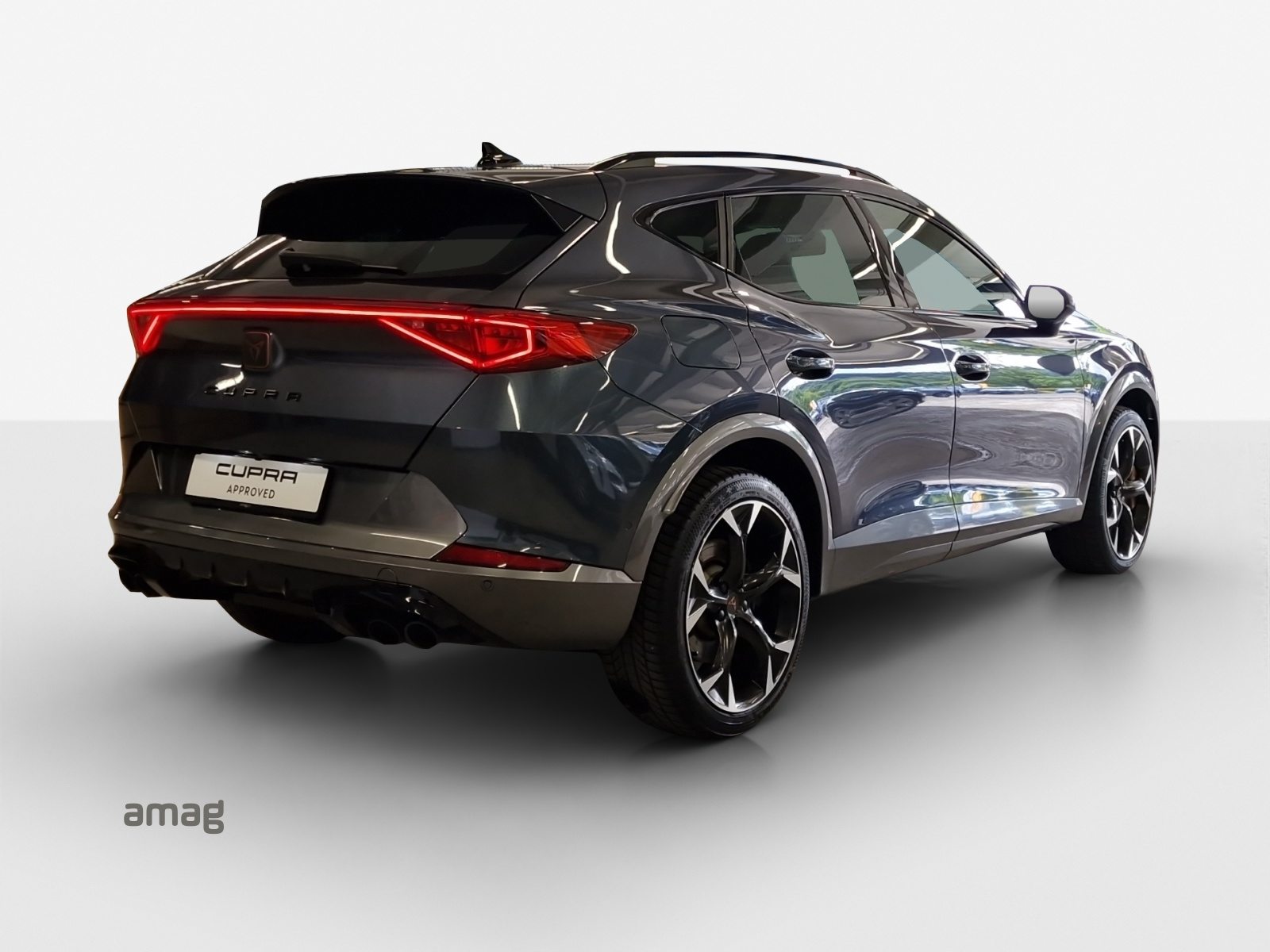 CUPRA FORMENTOR 4DRIVE, Benzina, Occasioni / Usate, Automatico - 5