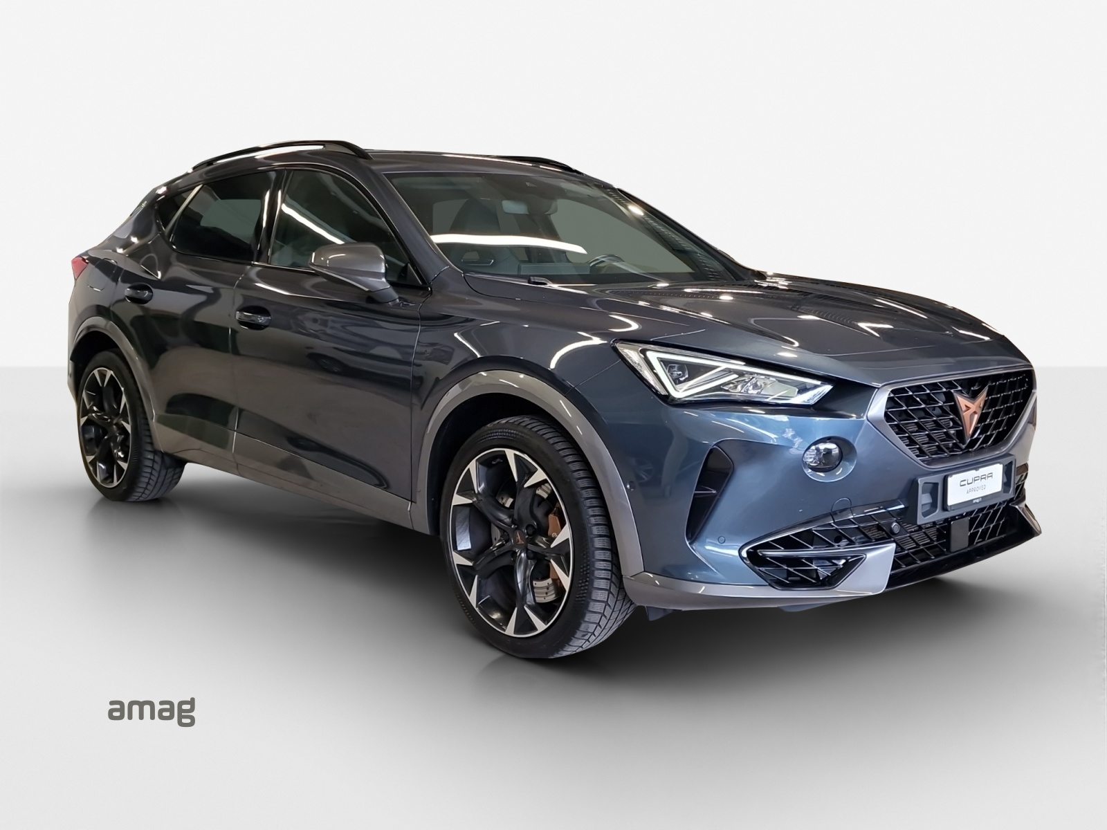 CUPRA FORMENTOR 4DRIVE, Benzina, Occasioni / Usate, Automatico - 6