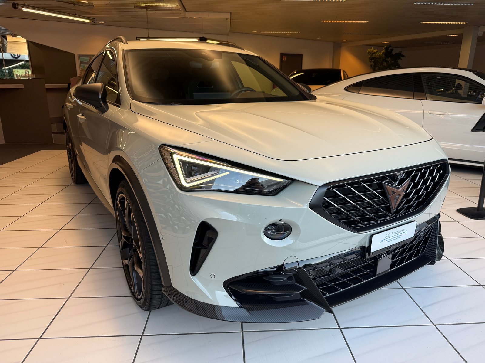 CUPRA Formentor 2.5TSI VZ5 Taiga Grey 4Drive DSG Sondermode, Benzin, Occasion / Gebraucht, Automatik - 3