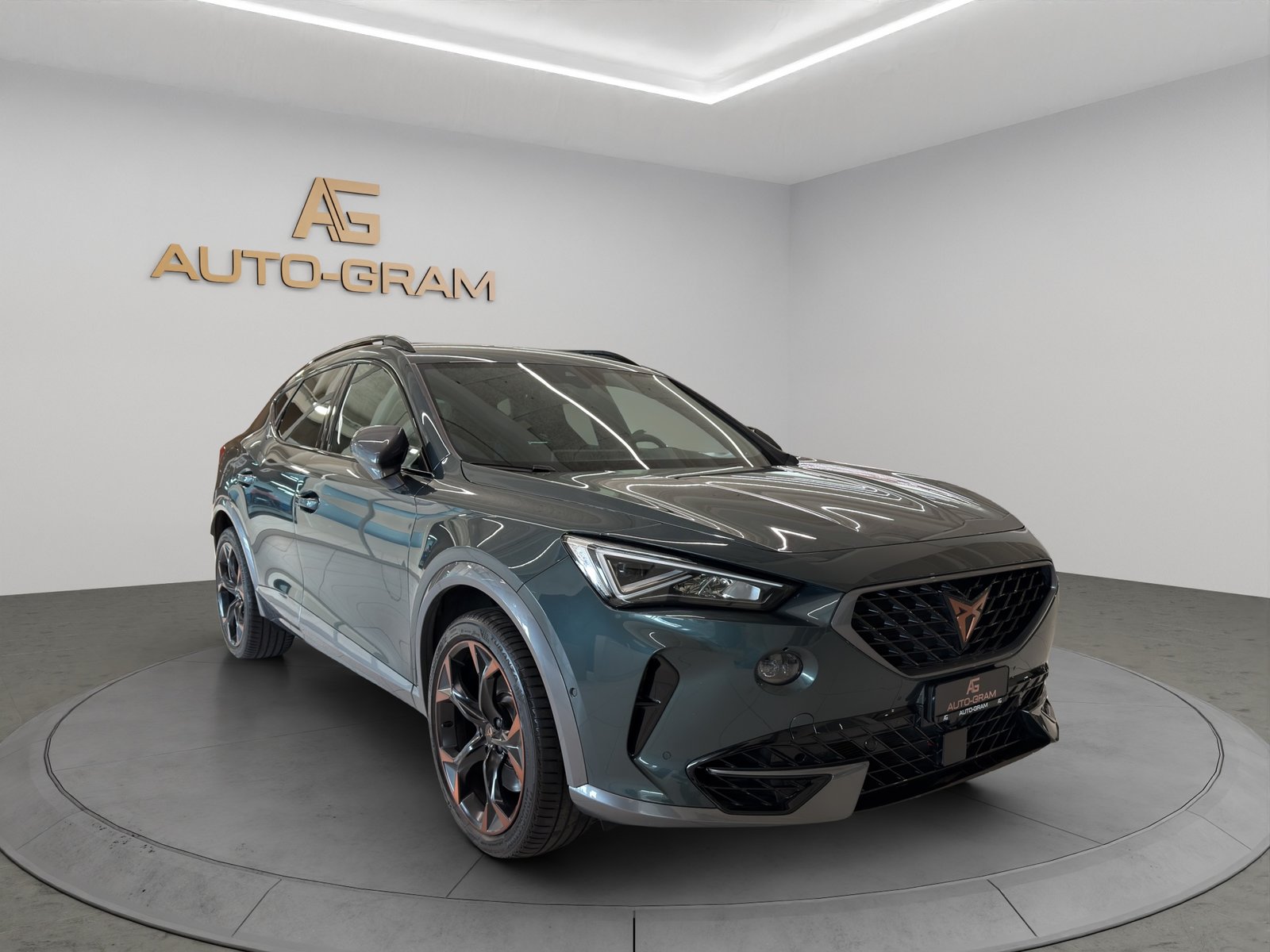 CUPRA Formentor 2.0TSI VZ 4Drive DSG, Benzina, Occasioni / Usate, Automatico - 7