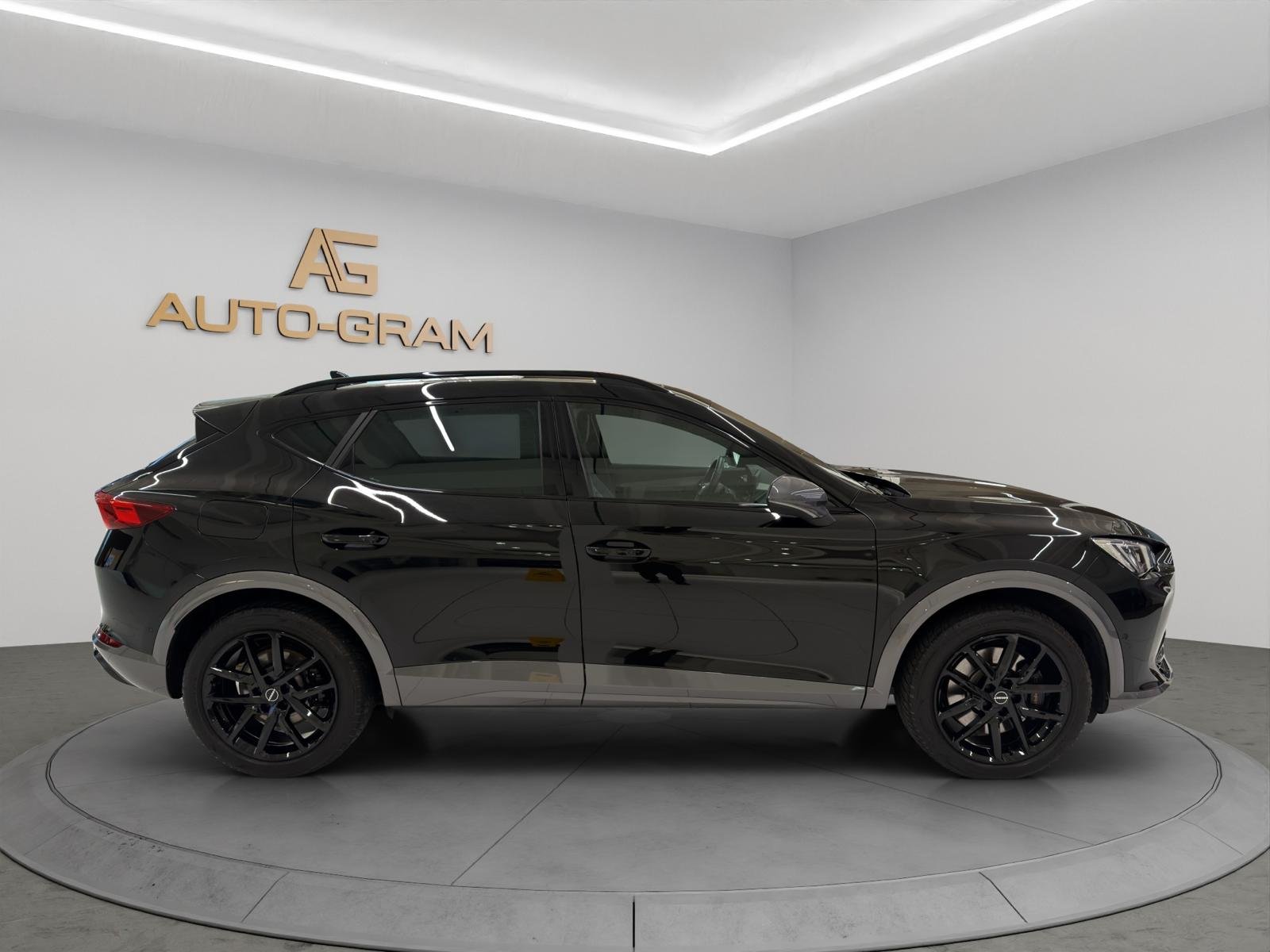 CUPRA Formentor 2.0TSI VZ 4Drive DSG, Benzina, Occasioni / Usate, Automatico - 6