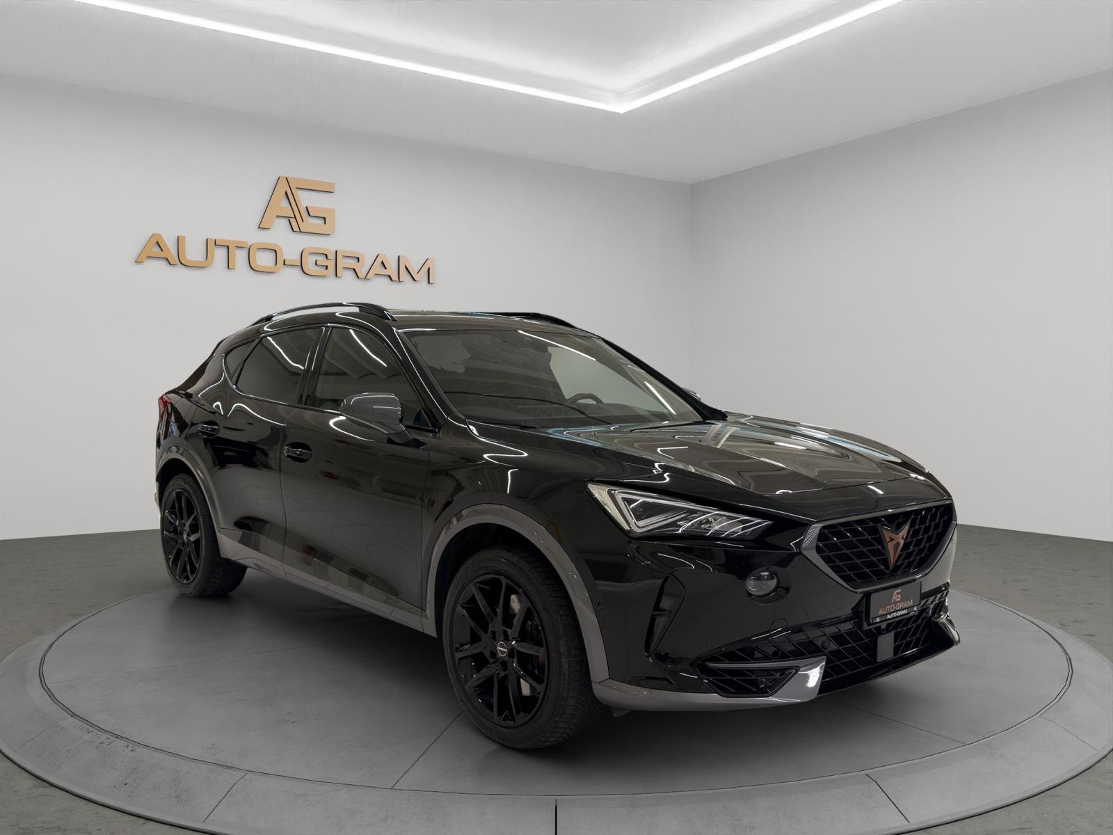 CUPRA Formentor 2.0TSI VZ 4Drive DSG, Benzina, Occasioni / Usate, Automatico - 7
