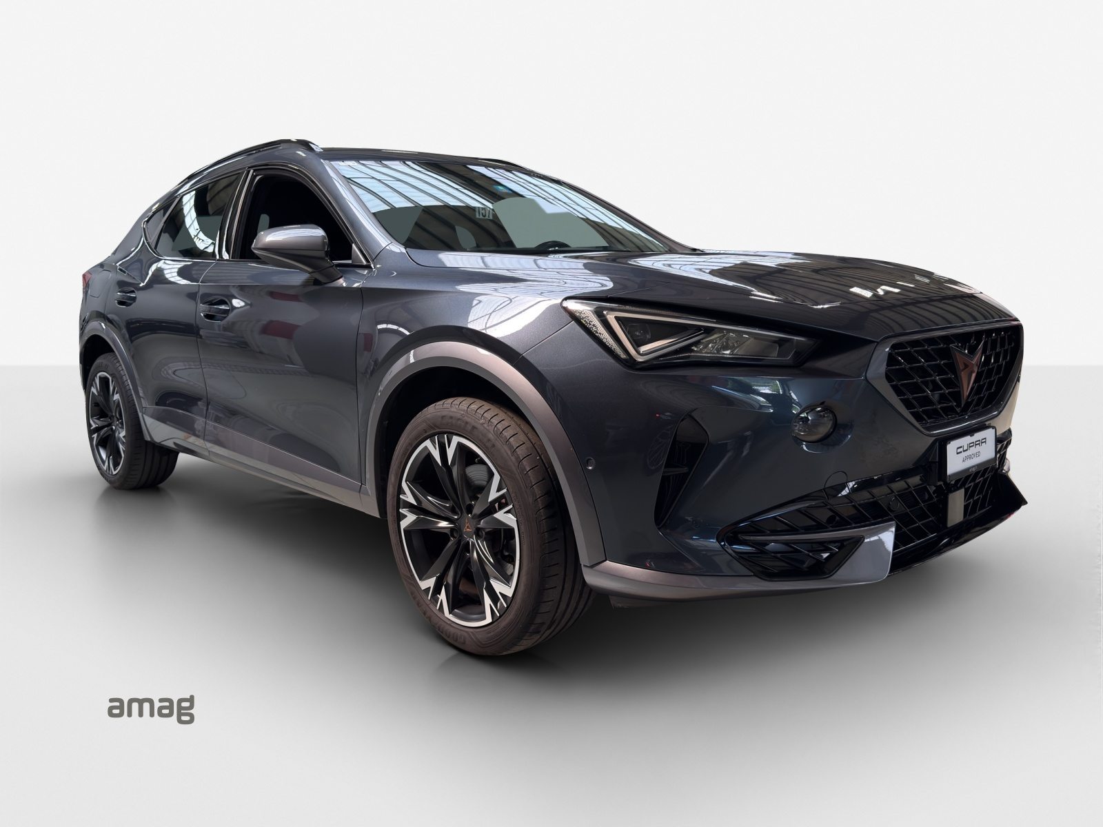 CUPRA FORMENTOR 4DRIVE, Essence, Occasion / Utilisé, Automatique - 6