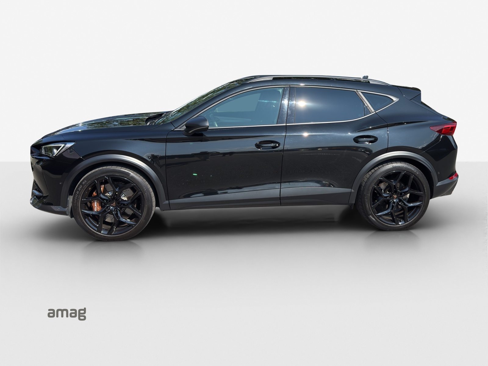 CUPRA FORMENTOR VZ5 4DRIVE, Benzina, Occasioni / Usate, Automatico - 2