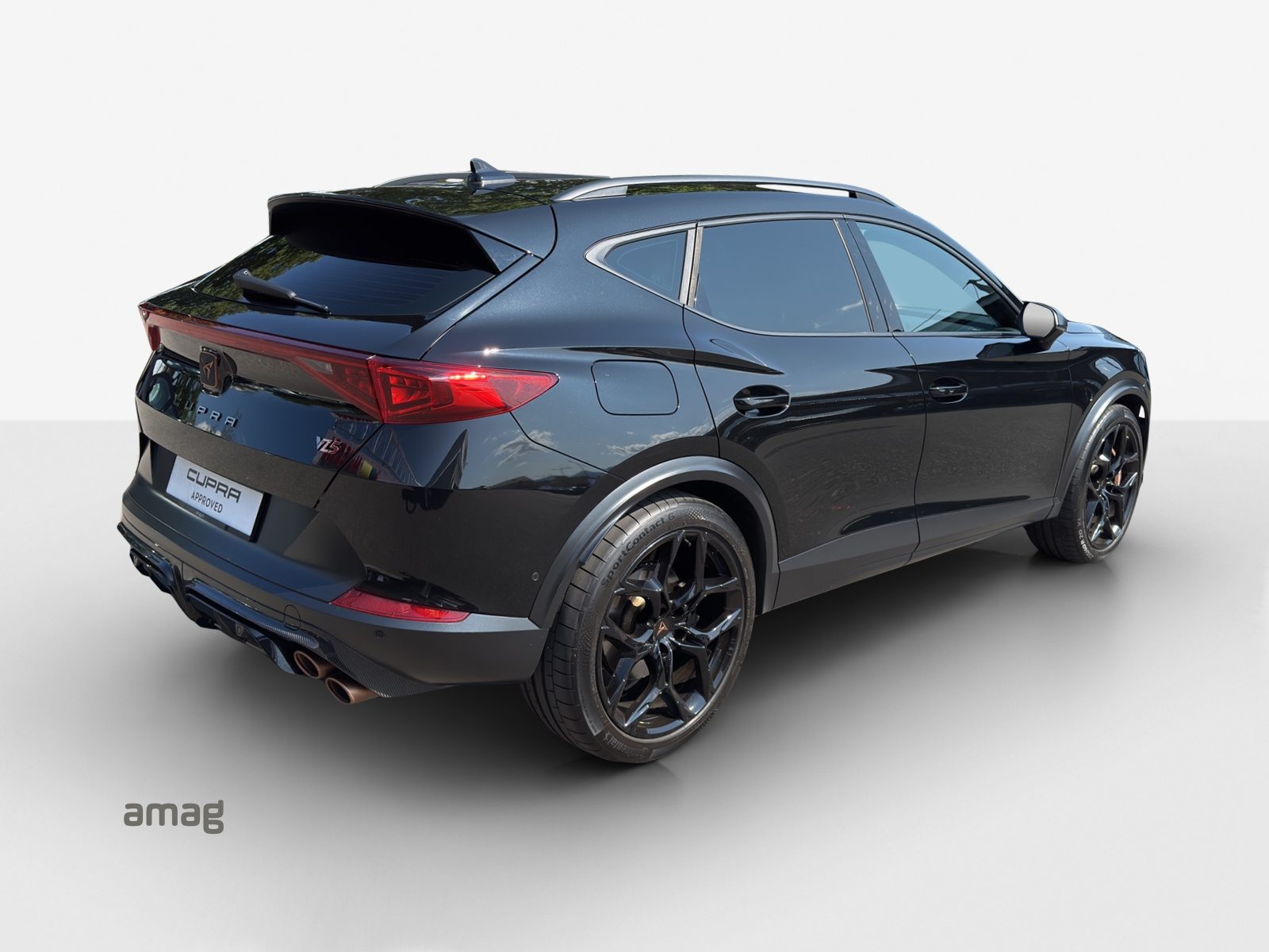 CUPRA FORMENTOR VZ5 4DRIVE, Benzina, Occasioni / Usate, Automatico - 5