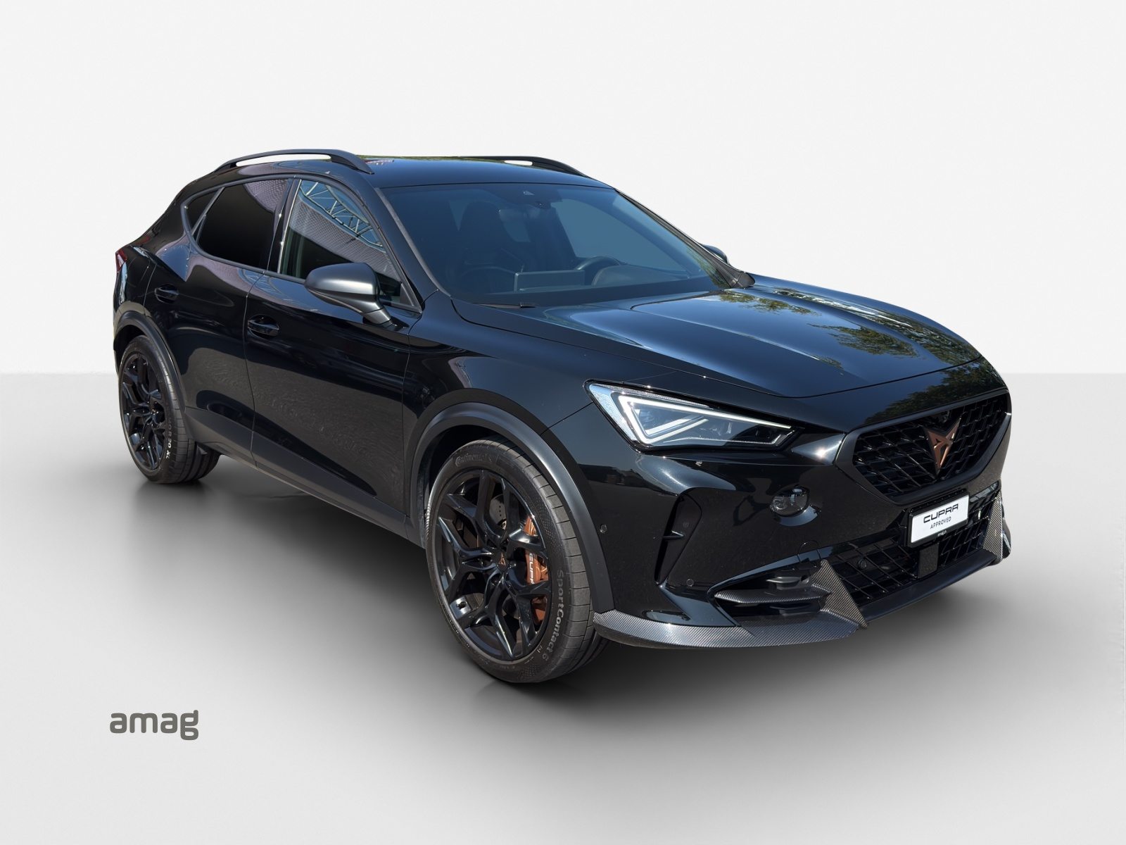 CUPRA FORMENTOR VZ5 4DRIVE, Benzina, Occasioni / Usate, Automatico - 6