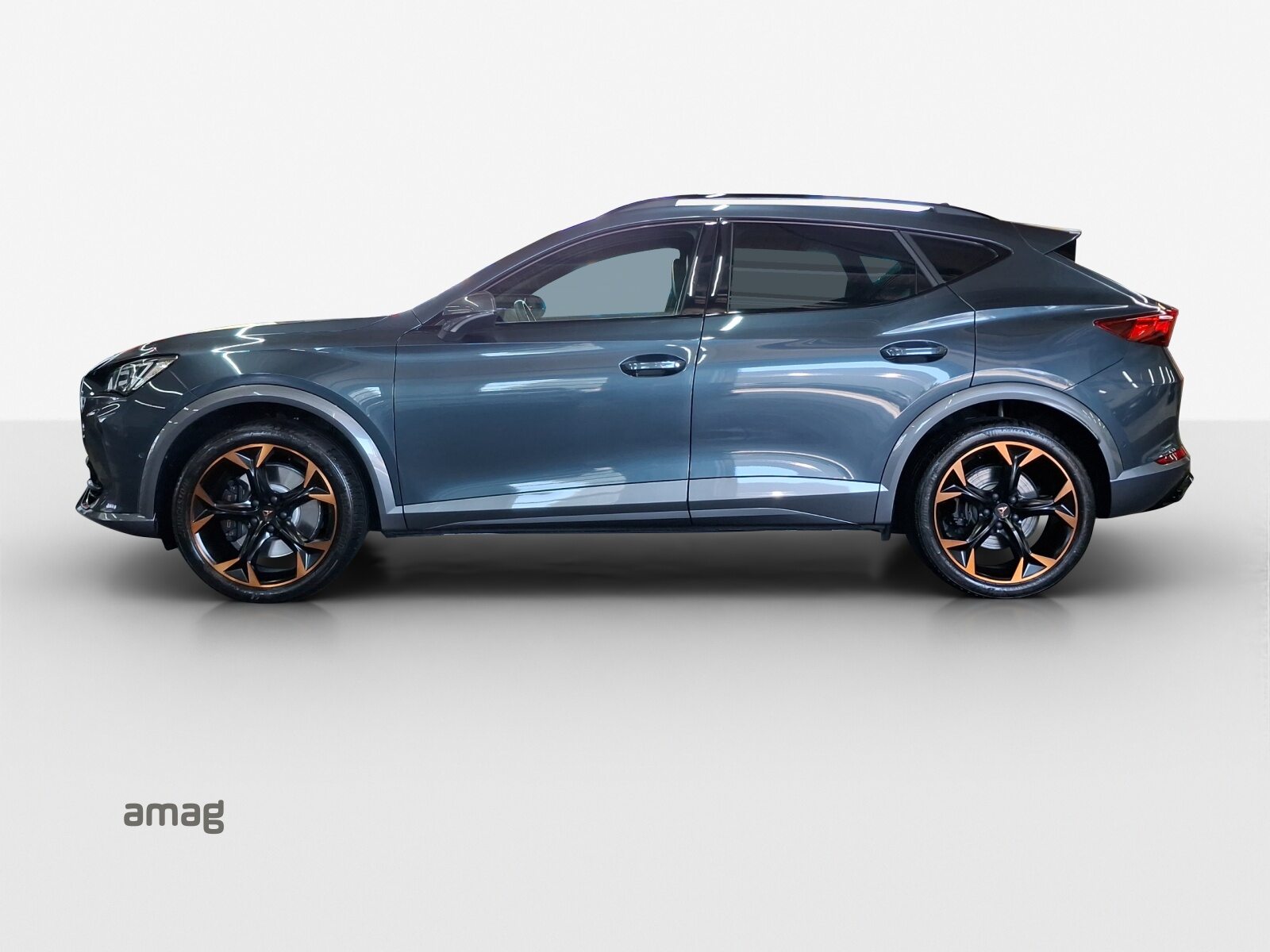 CUPRA FORMENTOR 4DRIVE, Benzina, Occasioni / Usate, Automatico - 2