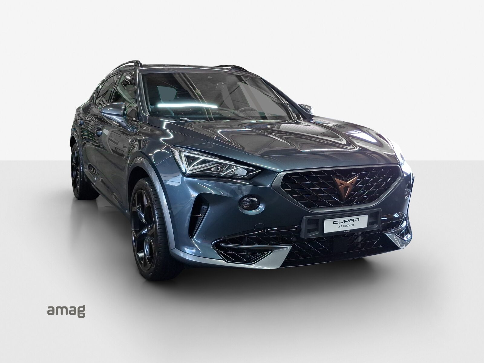 CUPRA FORMENTOR 4DRIVE, Benzina, Occasioni / Usate, Automatico - 6