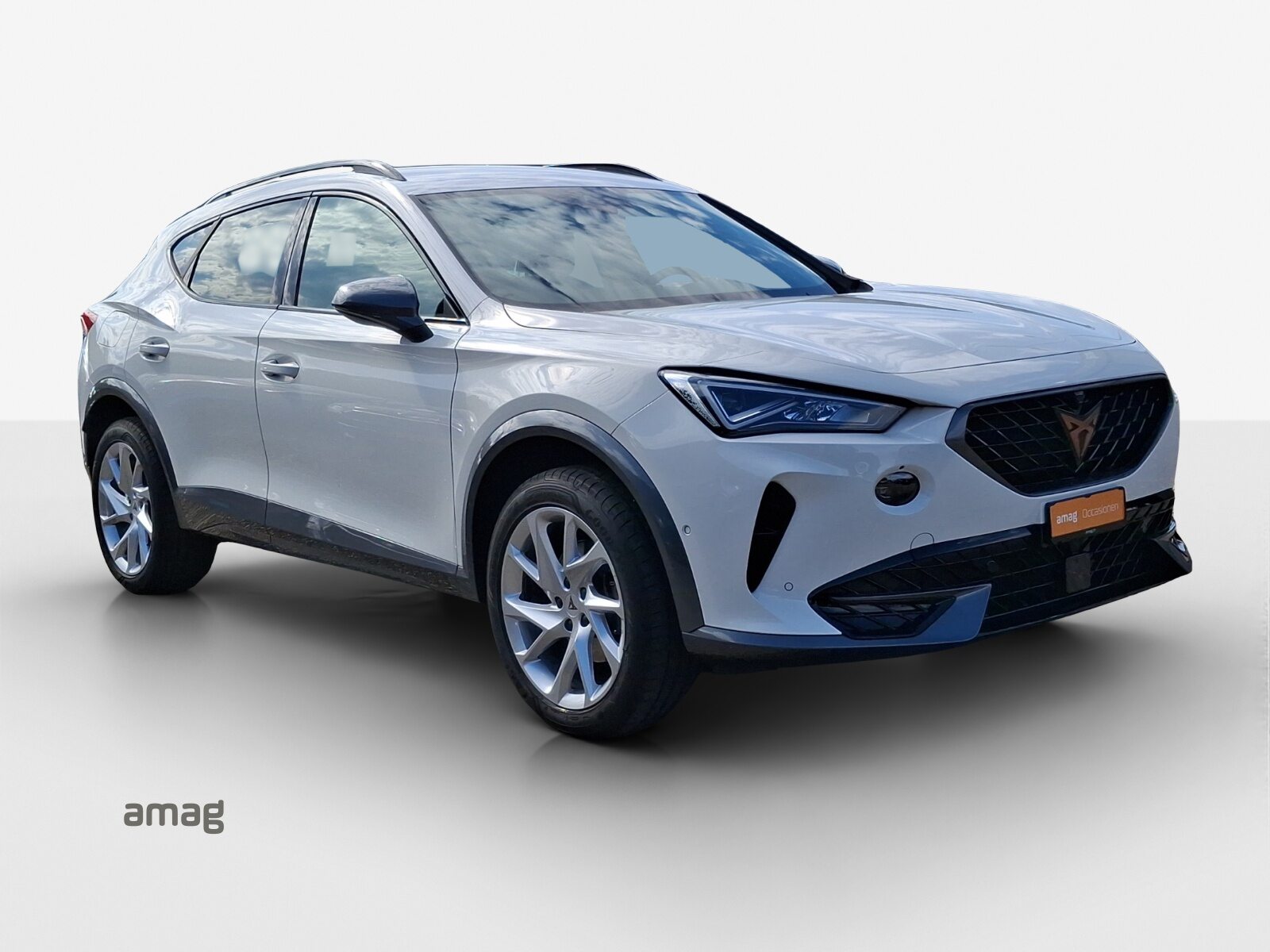 CUPRA FORMENTOR INICIO 4DRIVE (netto), Benzina, Occasioni / Usate, Automatico - 6