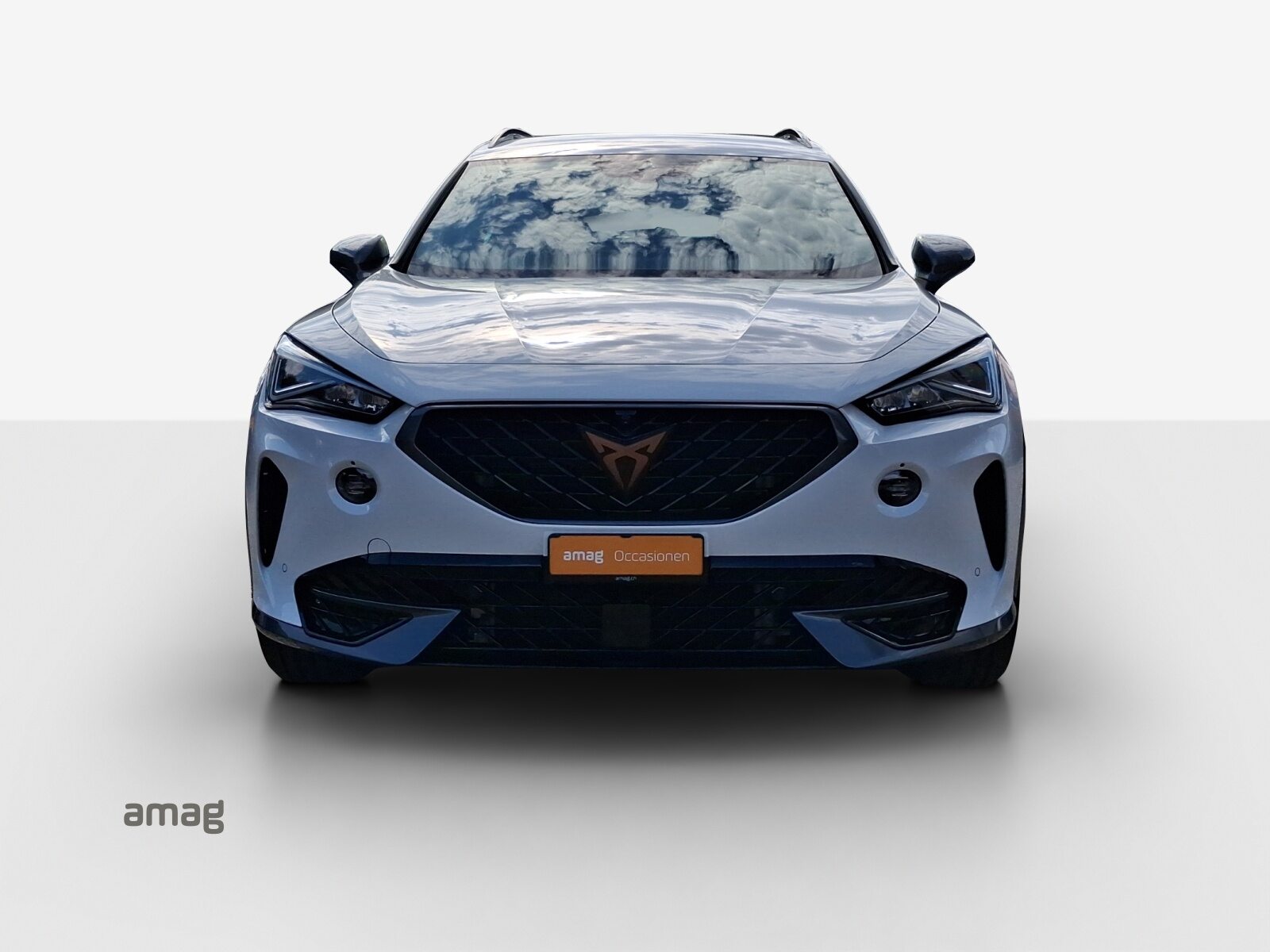 CUPRA FORMENTOR INICIO 4DRIVE (netto), Benzina, Occasioni / Usate, Automatico - 7