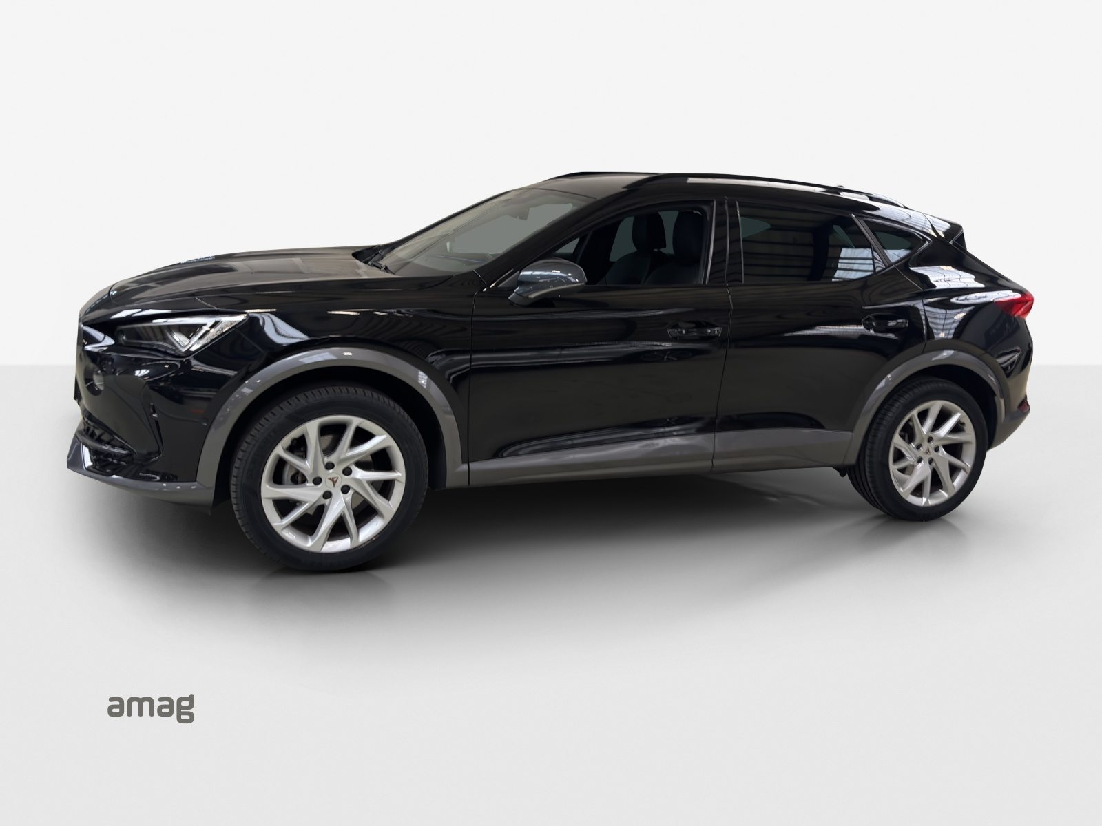 CUPRA FORMENTOR 4DRIVE, Benzina, Occasioni / Usate, Automatico - 2