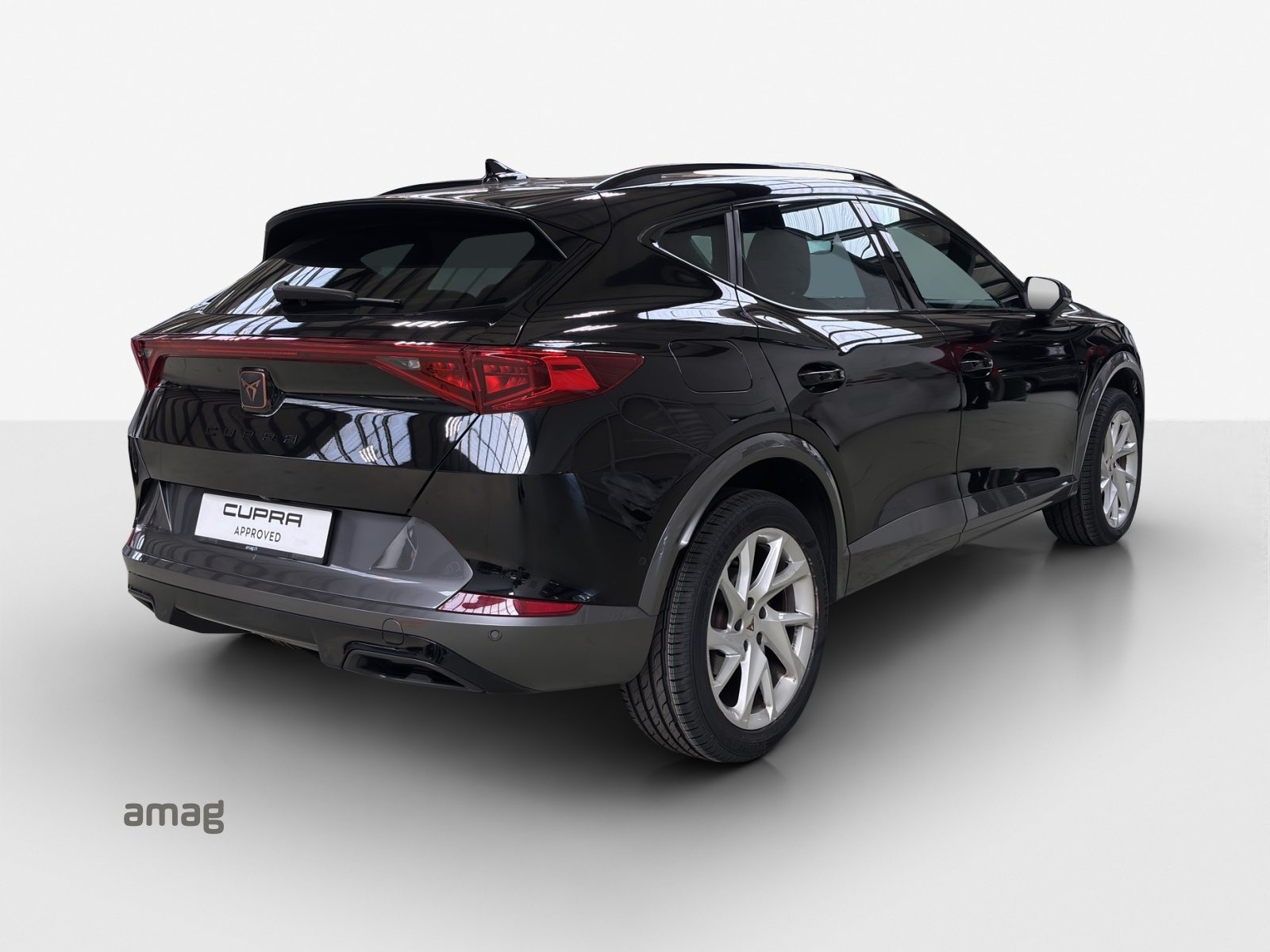 CUPRA FORMENTOR 4DRIVE, Benzina, Occasioni / Usate, Automatico - 5