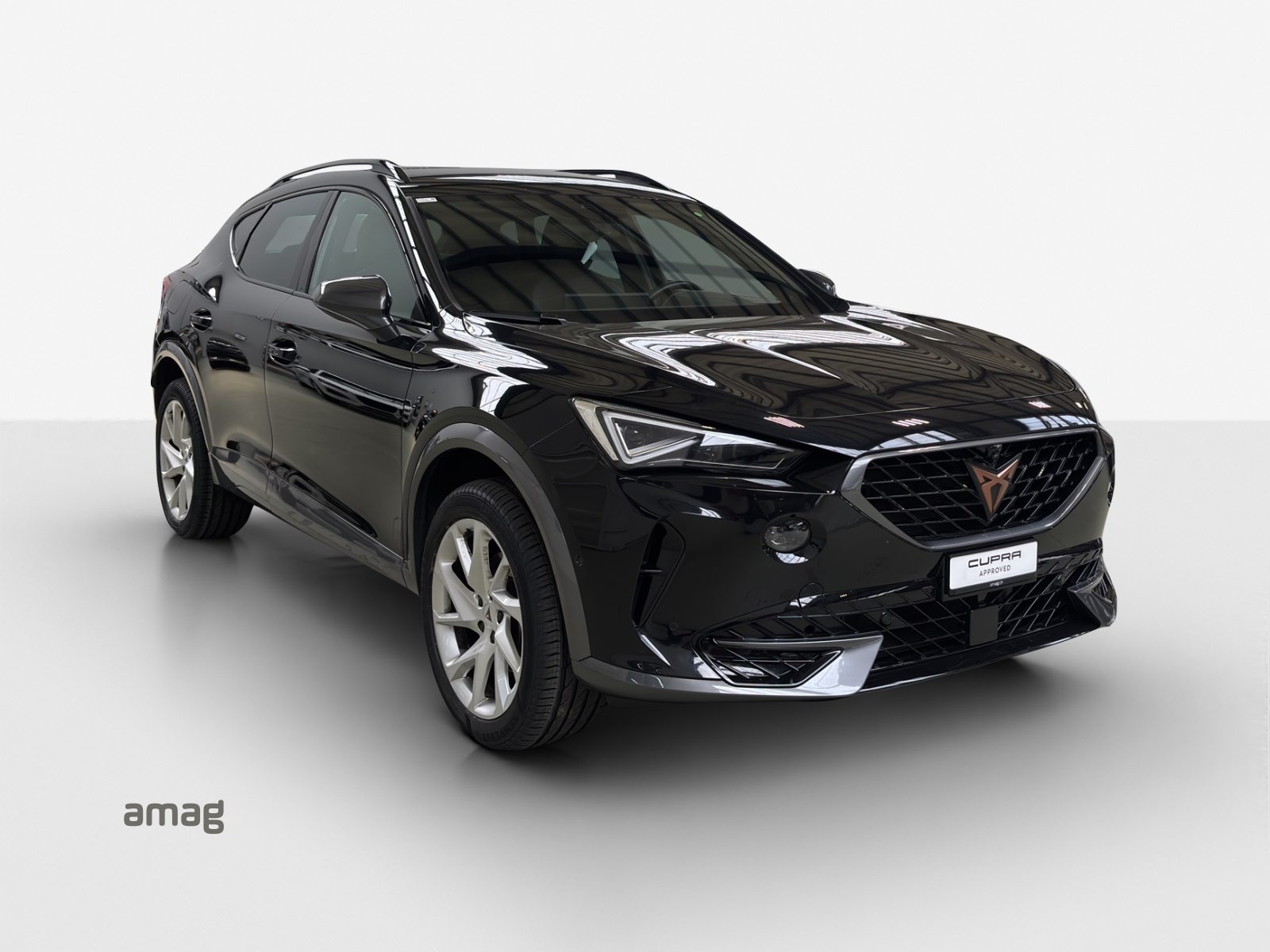 CUPRA FORMENTOR 4DRIVE, Benzina, Occasioni / Usate, Automatico - 6