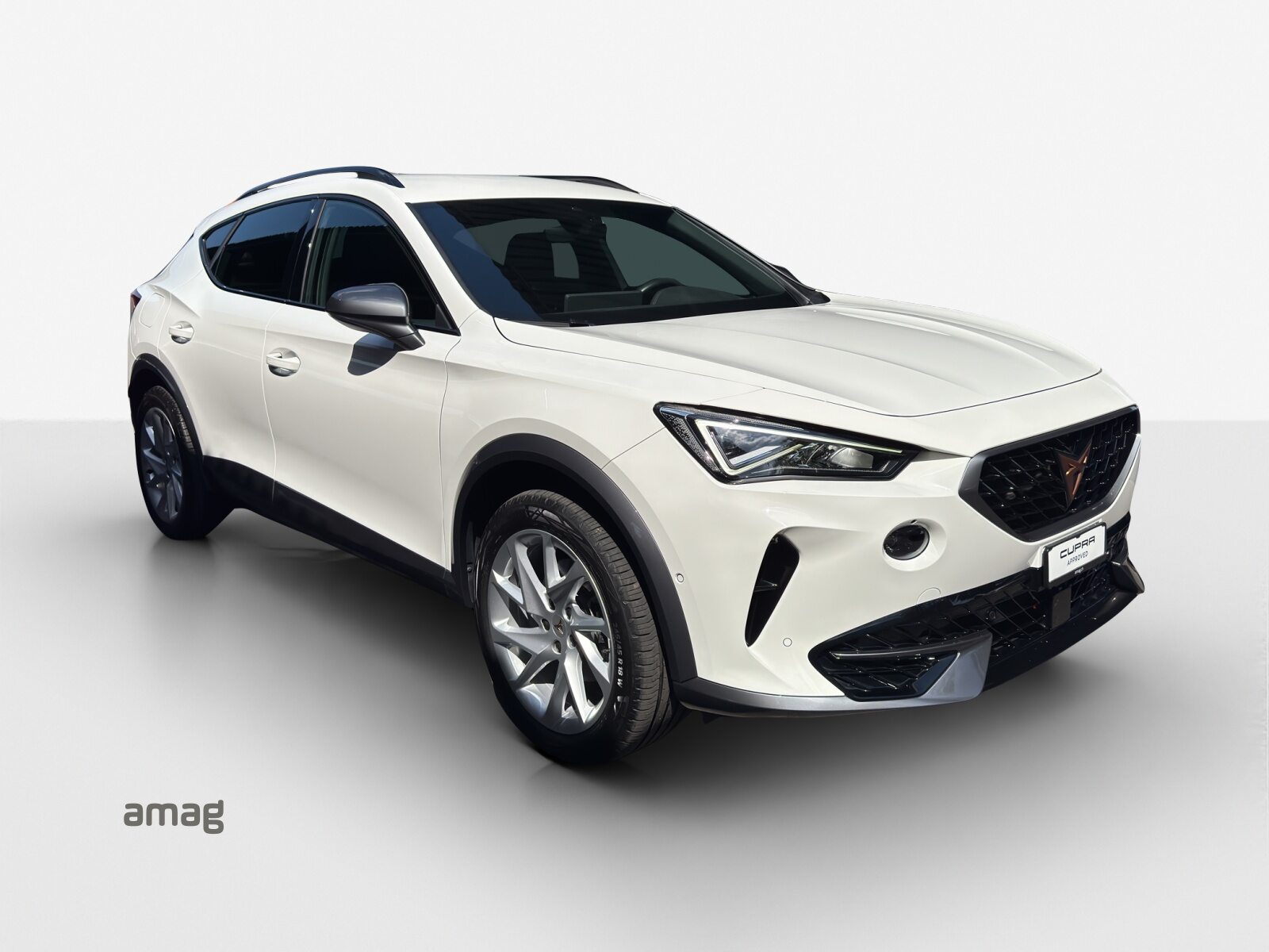 CUPRA FORMENTOR Allalin 1.4 e-HYBRID 204PS 6D (netto), Full-Hybrid Petrol/Electric, Second hand / Used, Automatic - 6