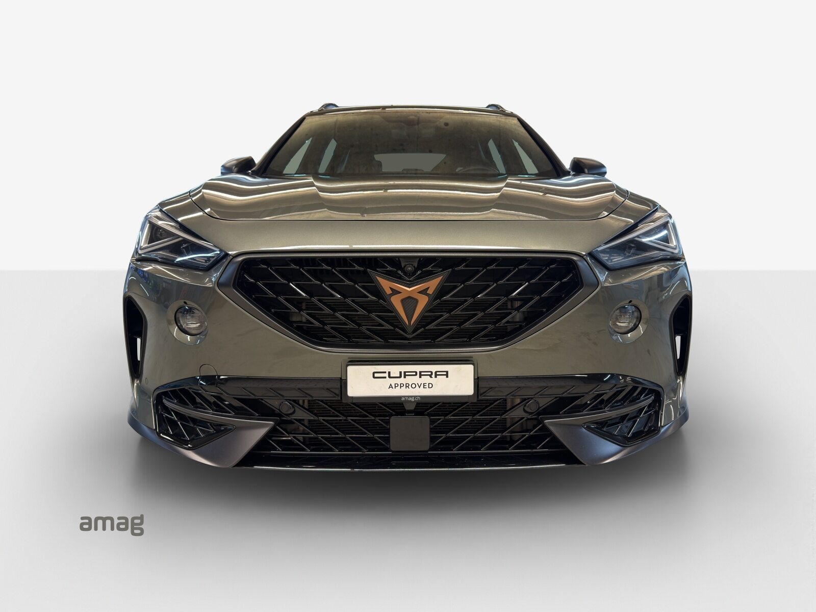 CUPRA FORMENTOR 4DRIVE TRIBE EDITION (netto), Petrol, Second hand / Used, Automatic - 7