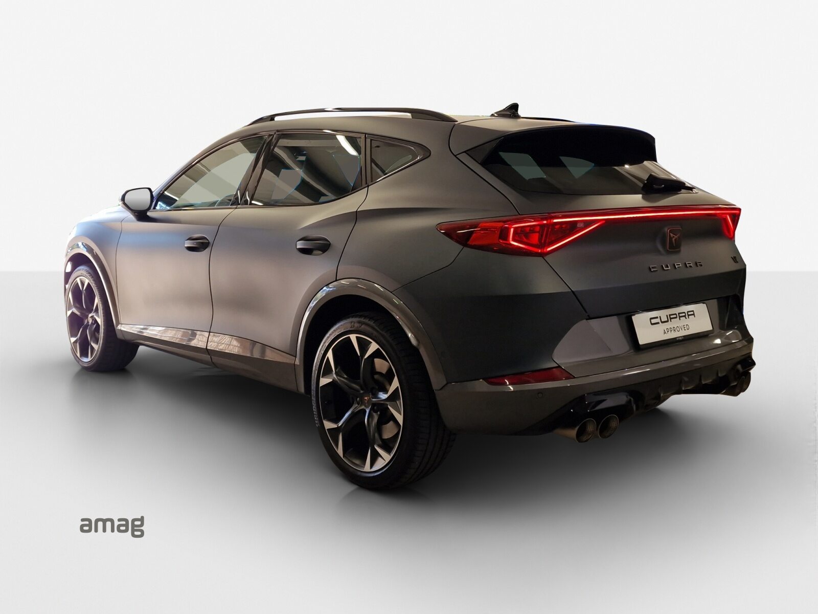 CUPRA FORMENTOR 4DRIVE, Benzina, Occasioni / Usate, Automatico - 3