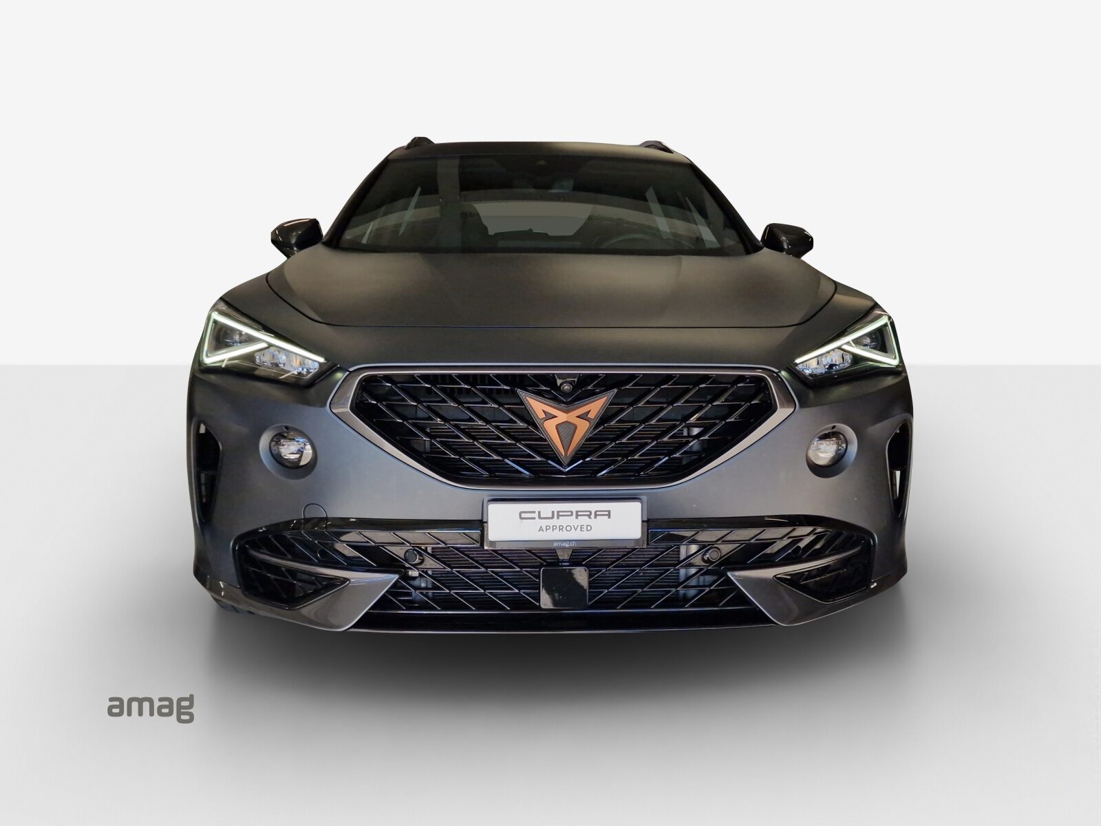 CUPRA FORMENTOR 4DRIVE, Benzina, Occasioni / Usate, Automatico - 7
