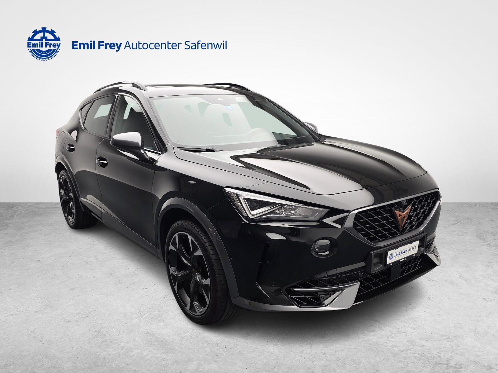 CUPRA Formentor 2.0 TSI VZ 4Drive DSG, Benzina, Occasioni / Usate, Automatico - 7