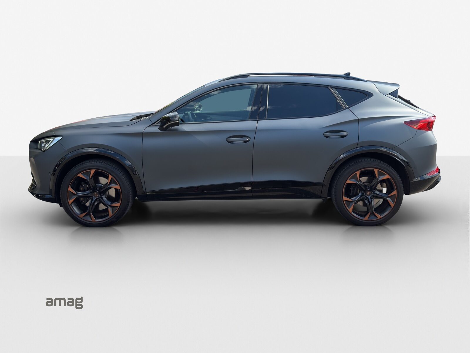 CUPRA FORMENTOR 4DRIVE, Benzina, Occasioni / Usate, Automatico - 2