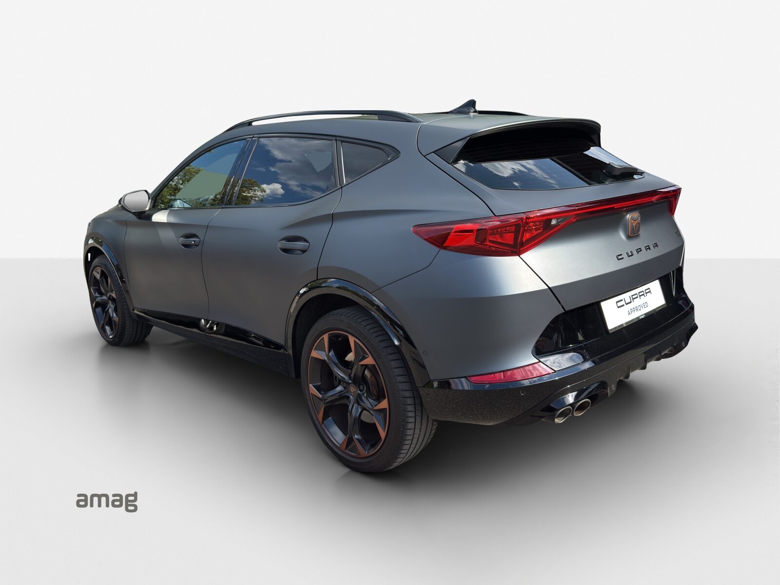 CUPRA FORMENTOR 4DRIVE, Benzina, Occasioni / Usate, Automatico - 3