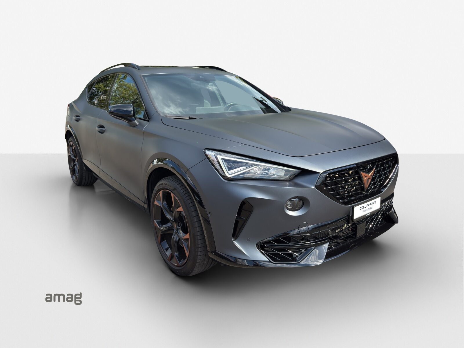 CUPRA FORMENTOR 4DRIVE, Benzina, Occasioni / Usate, Automatico - 6