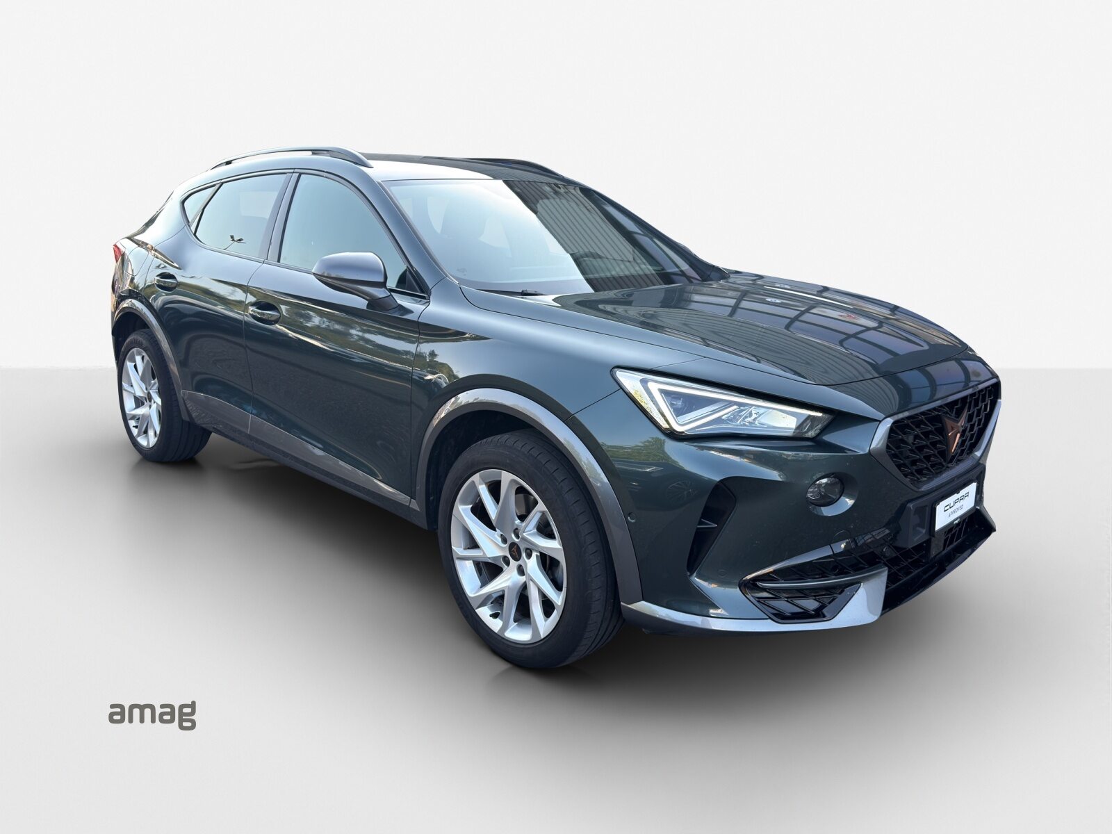 CUPRA FORMENTOR 4DRIVE, Essence, Occasion / Utilisé, Automatique - 6