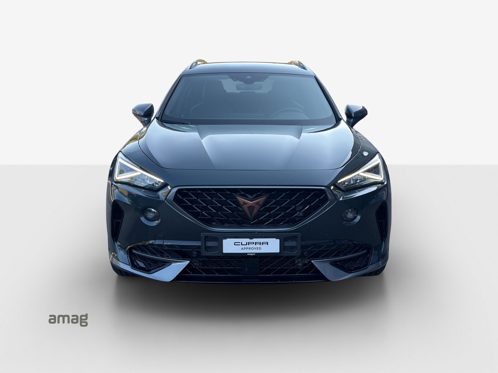 CUPRA FORMENTOR 4DRIVE, Essence, Occasion / Utilisé, Automatique - 7