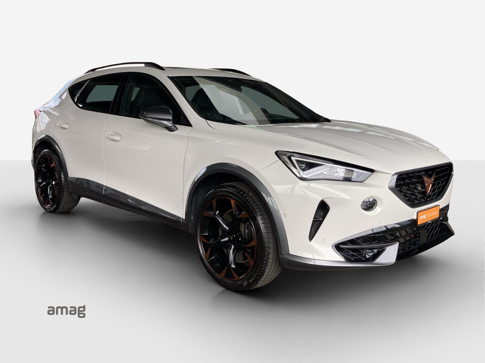 CUPRA FORMENTOR 4DRIVE, Benzina, Occasioni / Usate, Automatico - 6
