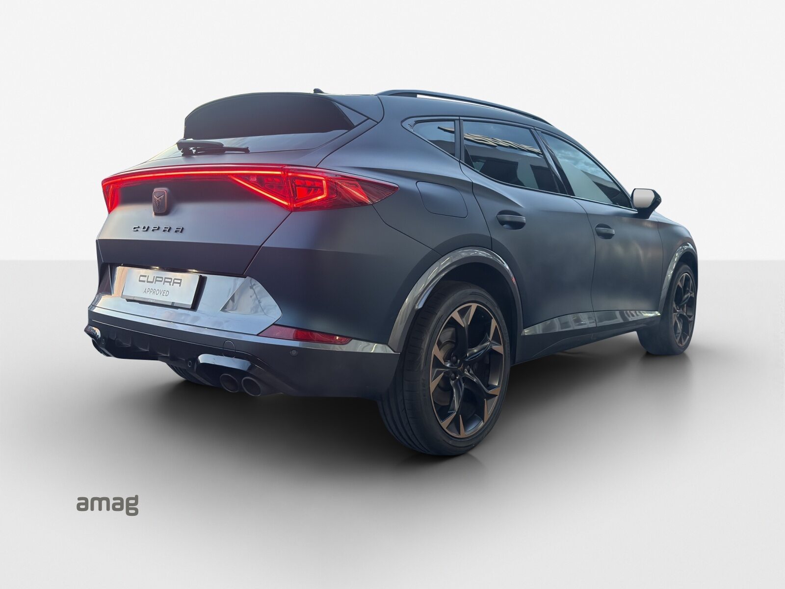 CUPRA FORMENTOR EL PRIMERO 4DRIVE, Benzina, Occasioni / Usate, Automatico - 5