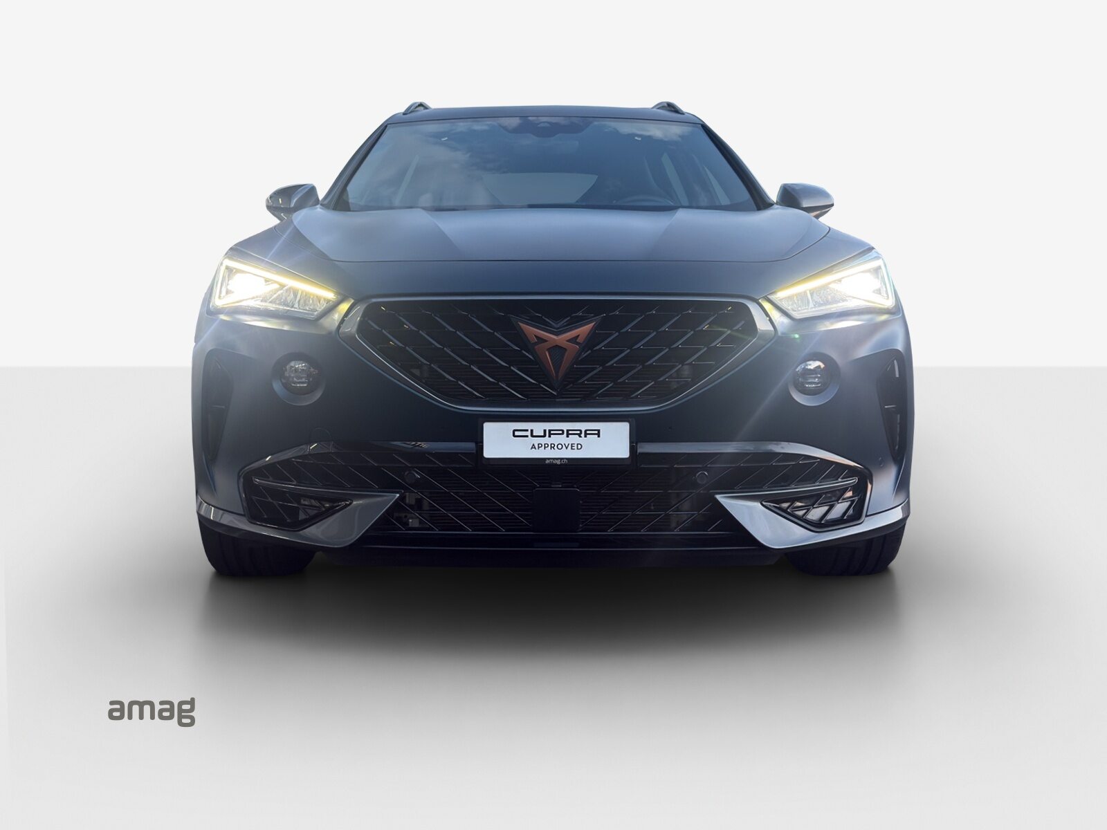 CUPRA FORMENTOR EL PRIMERO 4DRIVE, Benzina, Occasioni / Usate, Automatico - 7