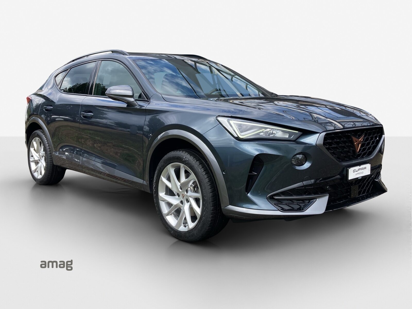CUPRA FORMENTOR 4DRIVE, Essence, Occasion / Utilisé, Automatique - 6