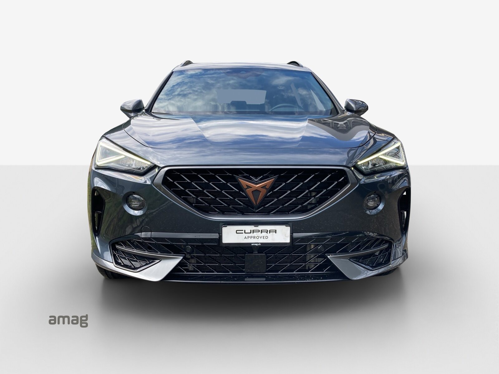 CUPRA FORMENTOR 4DRIVE, Essence, Occasion / Utilisé, Automatique - 7