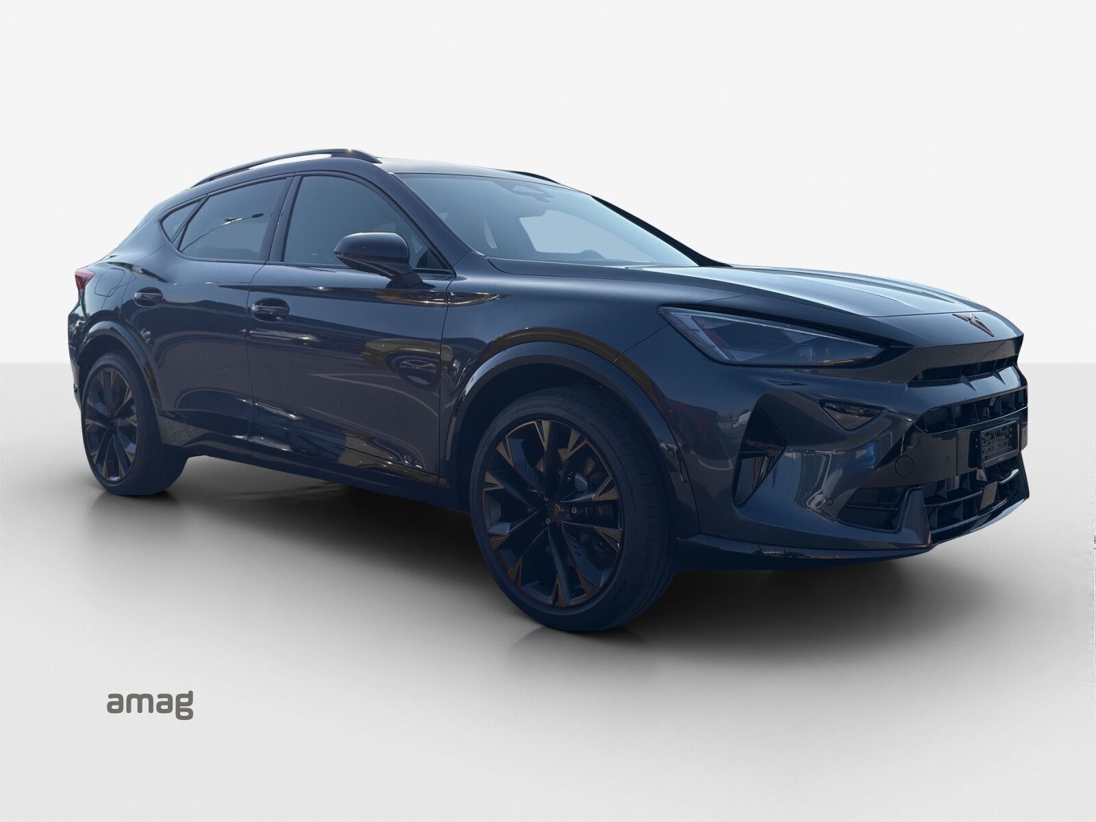 CUPRA FORMENTOR VZ e-HYBRID PRIME EDITION, Hybride Integrale Benzina/Elettrica, Occasioni / Usate, Automatico - 6