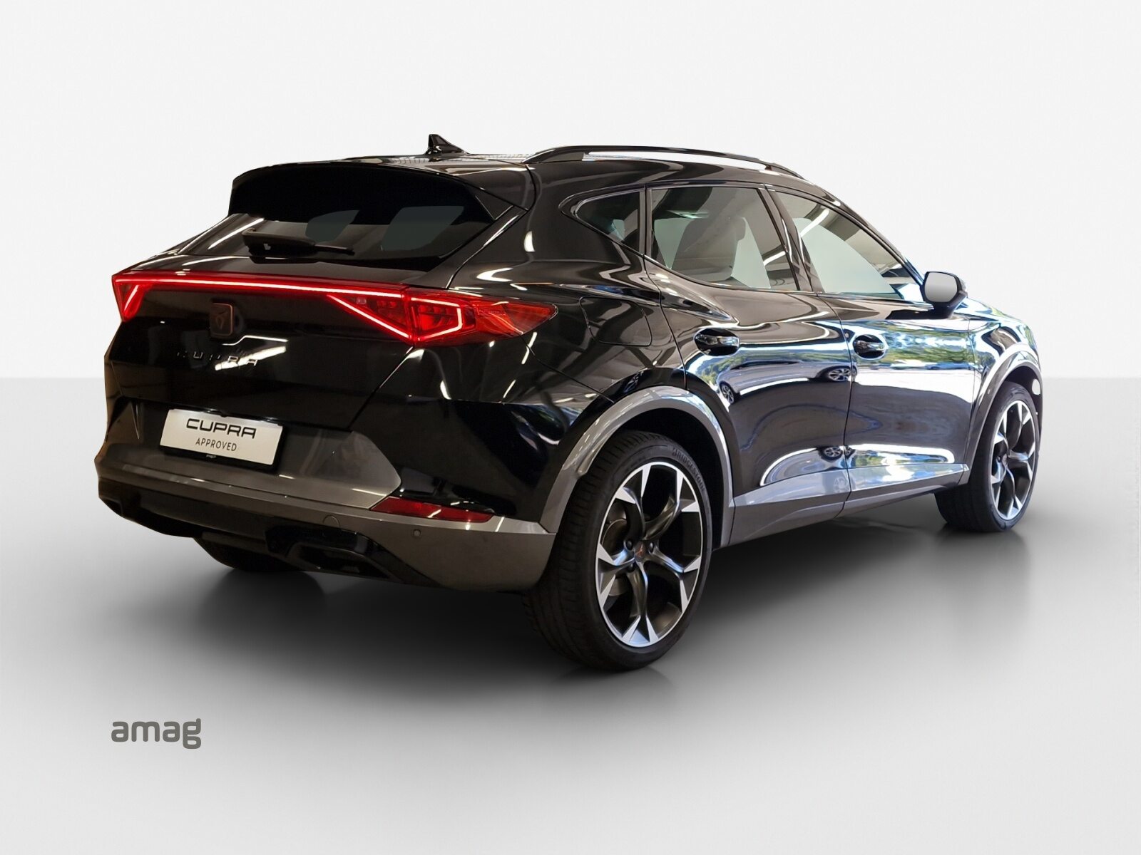 CUPRA FORMENTOR 4DRIVE, Benzina, Occasioni / Usate, Automatico - 5