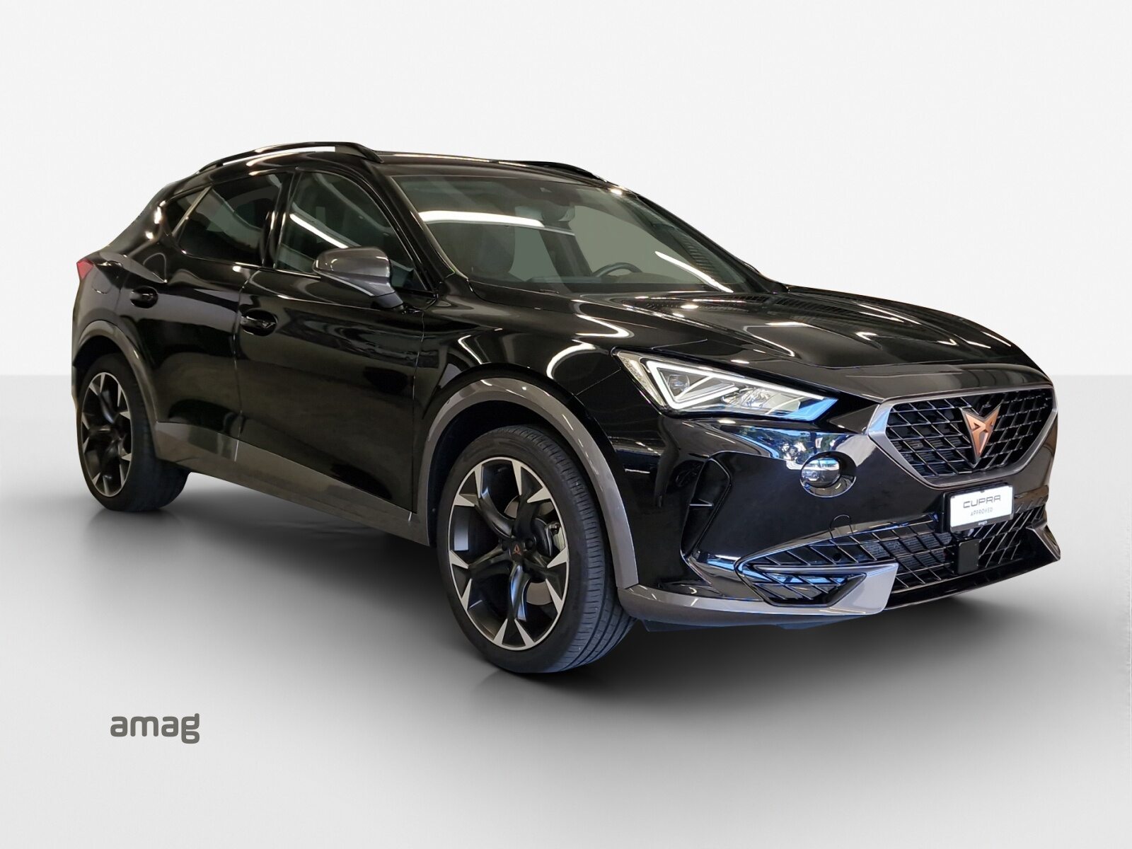 CUPRA FORMENTOR 4DRIVE, Benzina, Occasioni / Usate, Automatico - 6