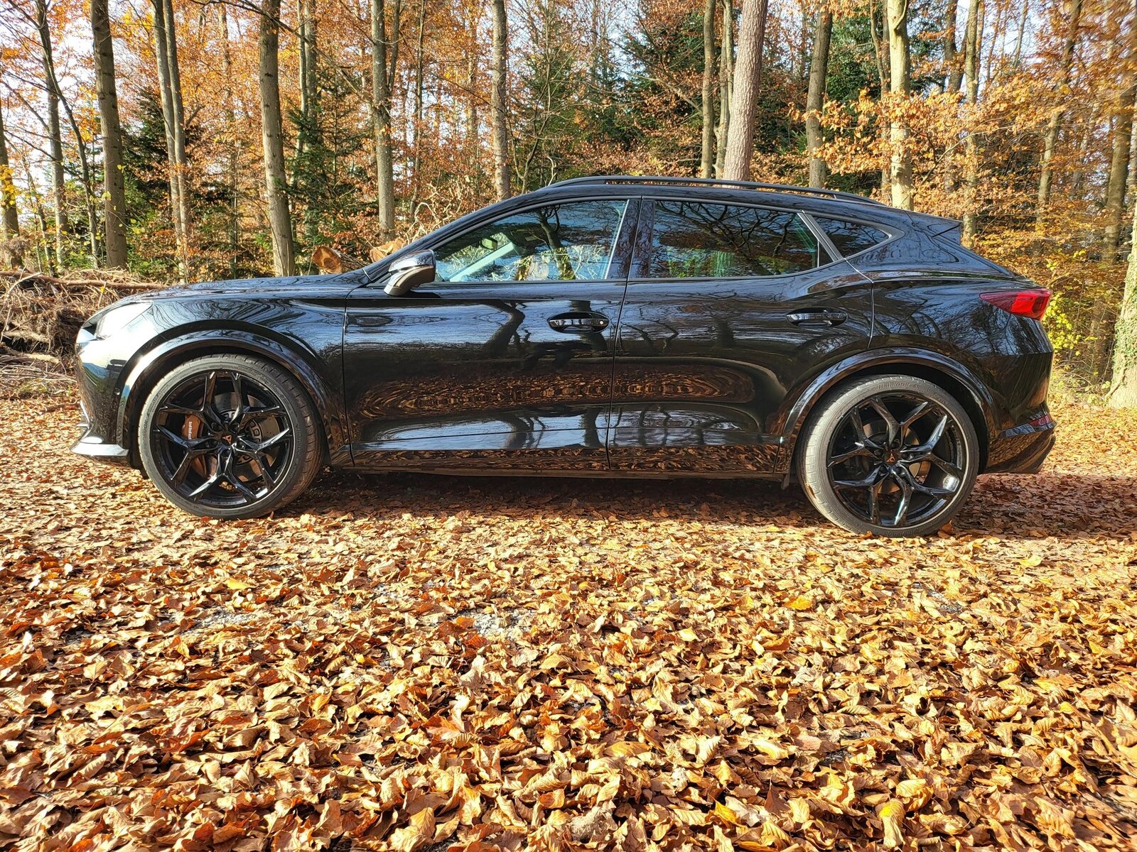 CUPRA Formentor 2.5TSI VZ5 4Drive DSG TIEFERLEGUNG, Petrol, Second hand / Used, Automatic - 2