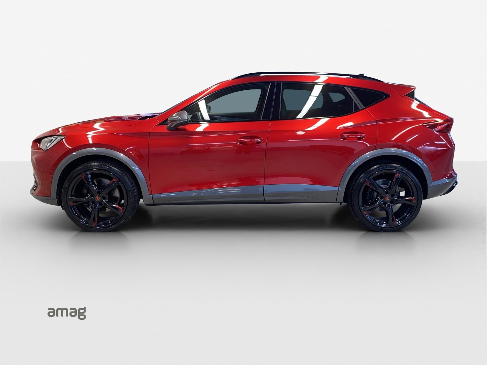 CUPRA FORMENTOR 4DRIVE, Essence, Occasion / Utilisé, Automatique - 2