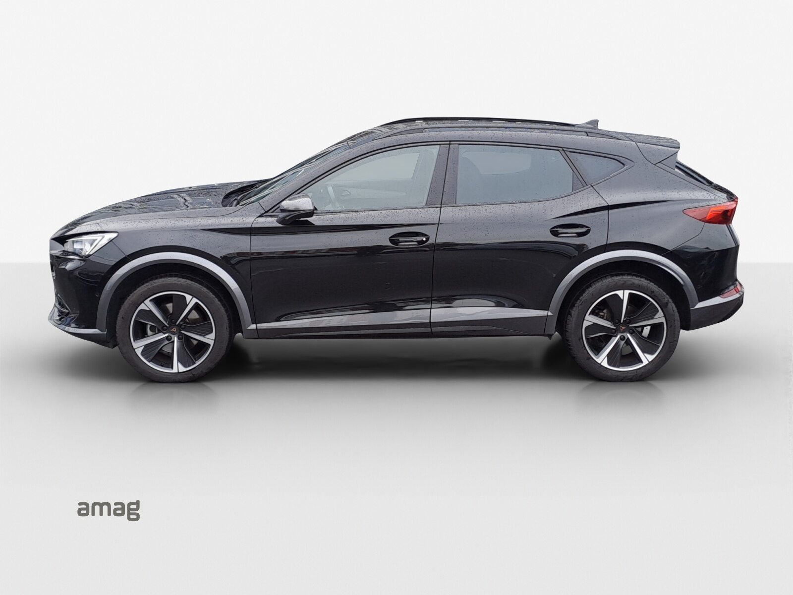 CUPRA FORMENTOR 4DRIVE, Benzin, Occasion / Gebraucht, Automatik - 2