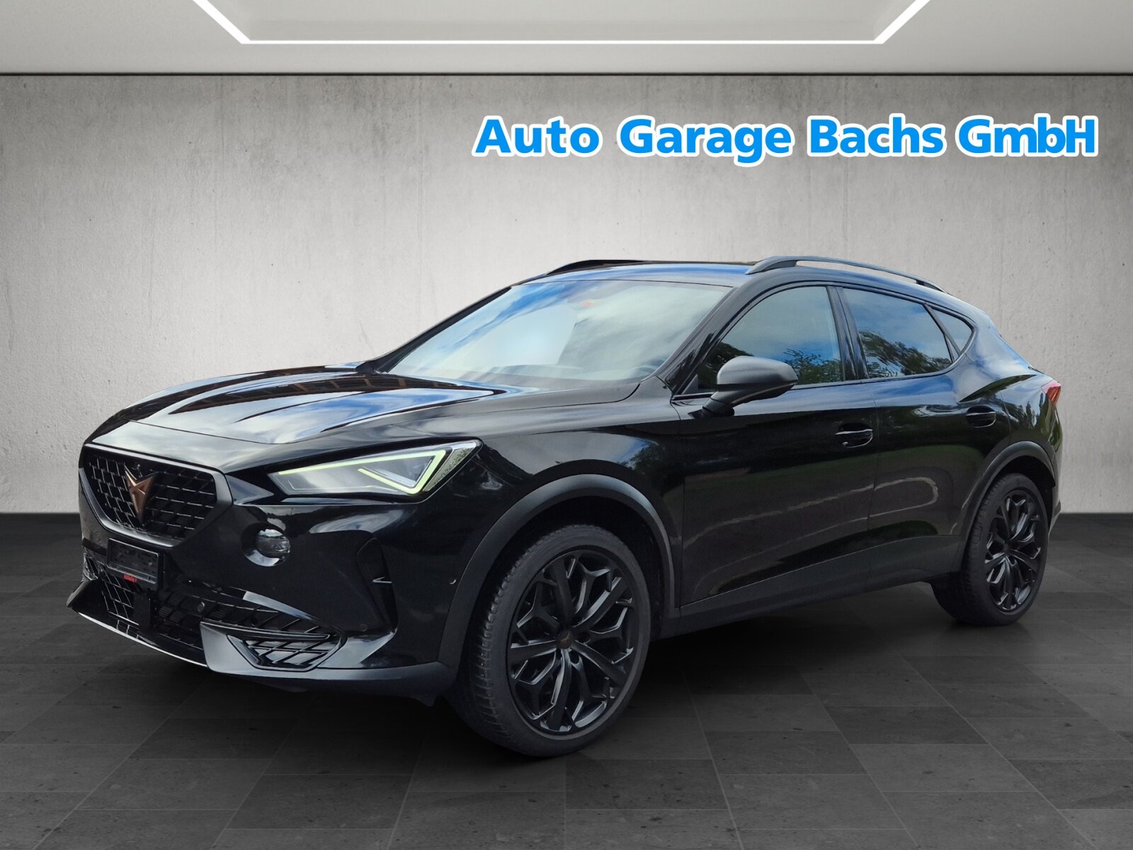CUPRA Formentor 2.0TSI Tribe Edition DSG, Benzina, Occasioni / Usate, Automatico - 2