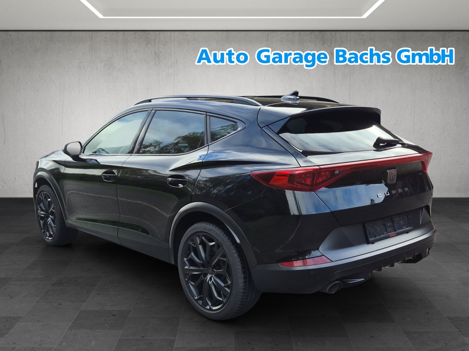 CUPRA Formentor 2.0TSI Tribe Edition DSG, Benzina, Occasioni / Usate, Automatico - 6