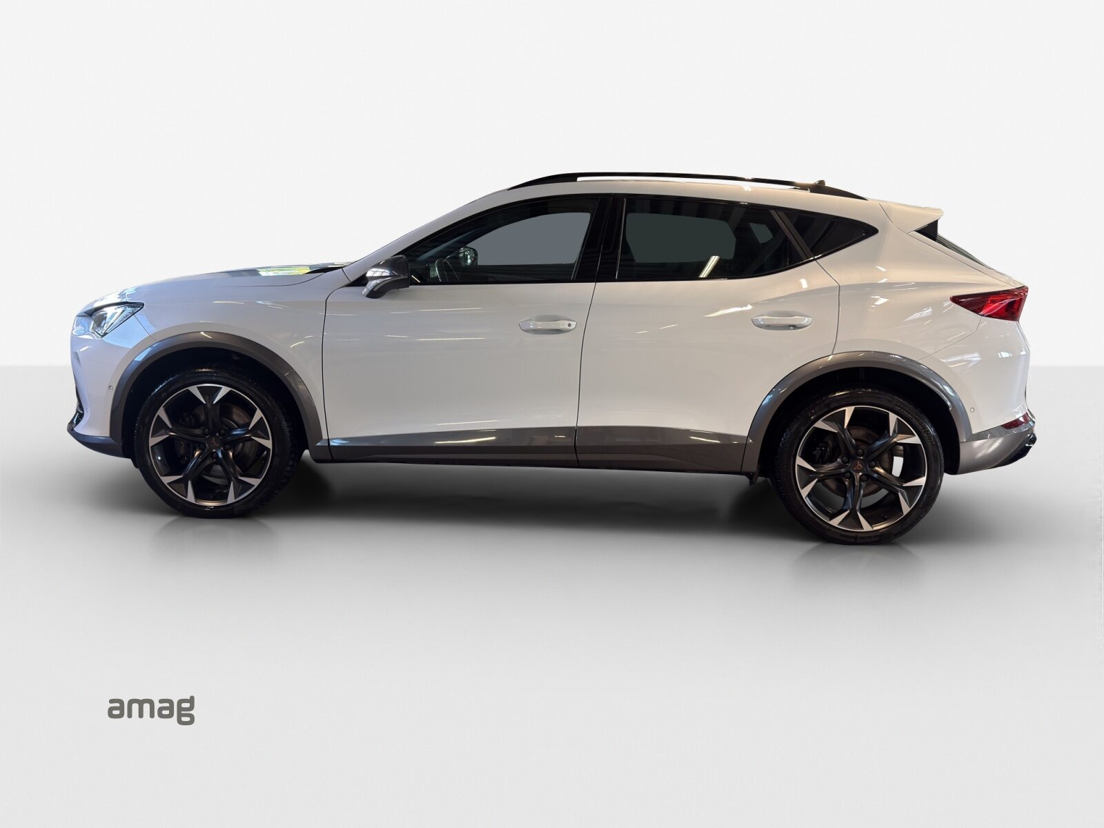 CUPRA FORMENTOR 4DRIVE, Benzina, Occasioni / Usate, Automatico - 2