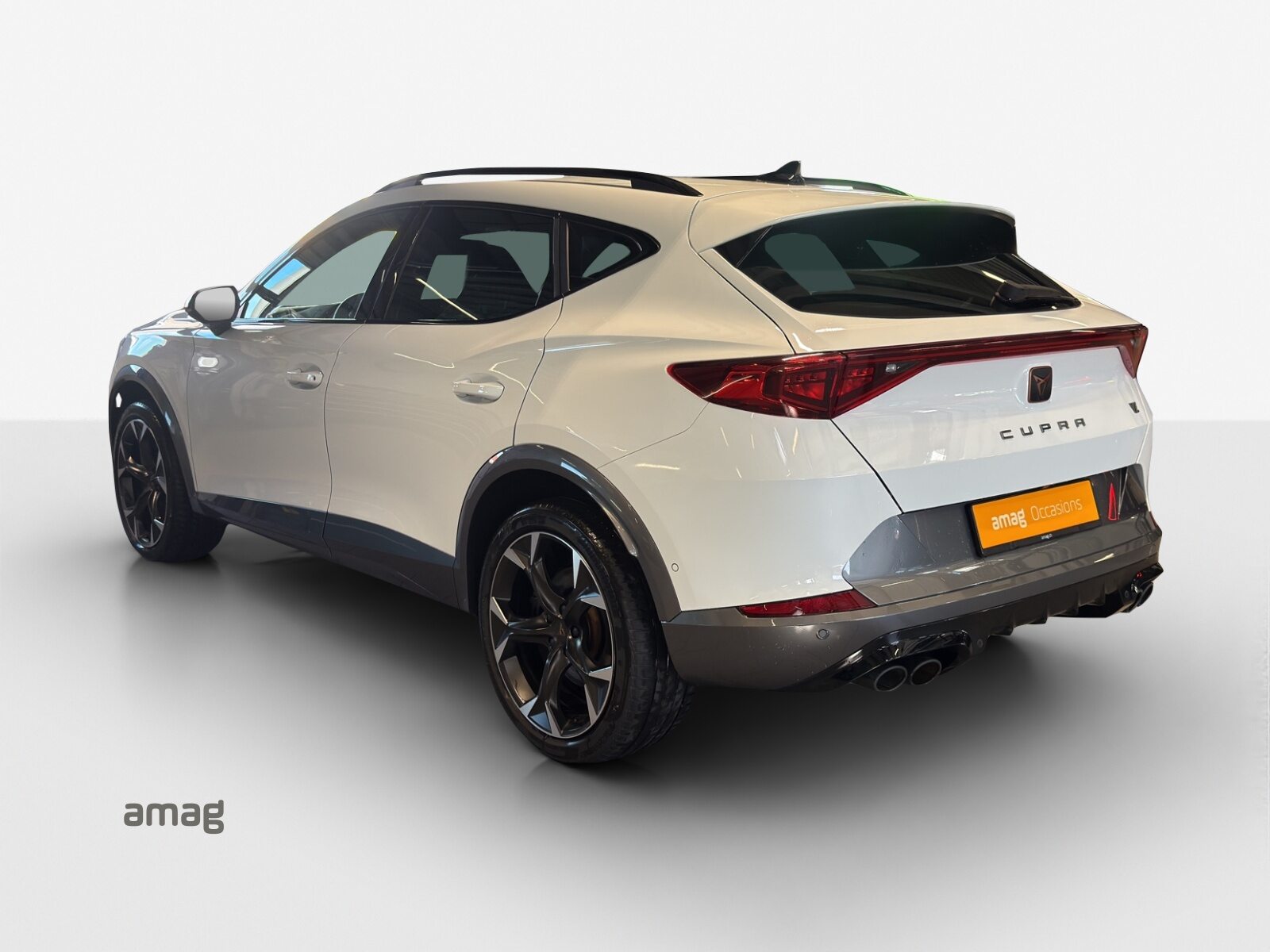 CUPRA FORMENTOR 4DRIVE, Benzina, Occasioni / Usate, Automatico - 3
