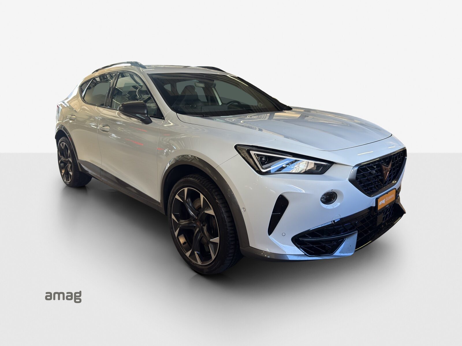 CUPRA FORMENTOR 4DRIVE, Benzina, Occasioni / Usate, Automatico - 6