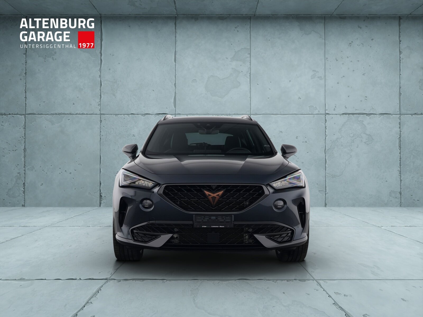 CUPRA Formentor 2.0TSI 4Drive Inicio DSG, Benzina, Usata, Automatico - 6