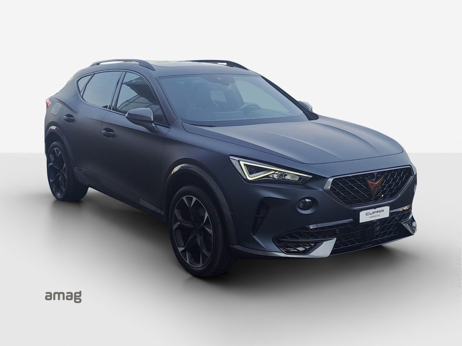 CUPRA FORMENTOR 4DRIVE, Benzina, Occasioni / Usate, Automatico - 6